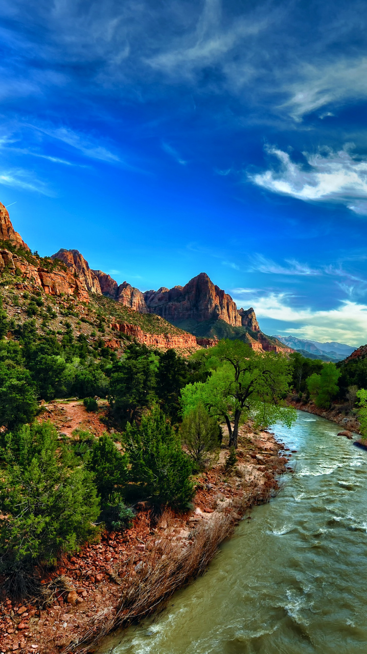 Rivière Entre Les Arbres Verts Sous Ciel Bleu Pendant la Journée. Wallpaper in 750x1334 Resolution
