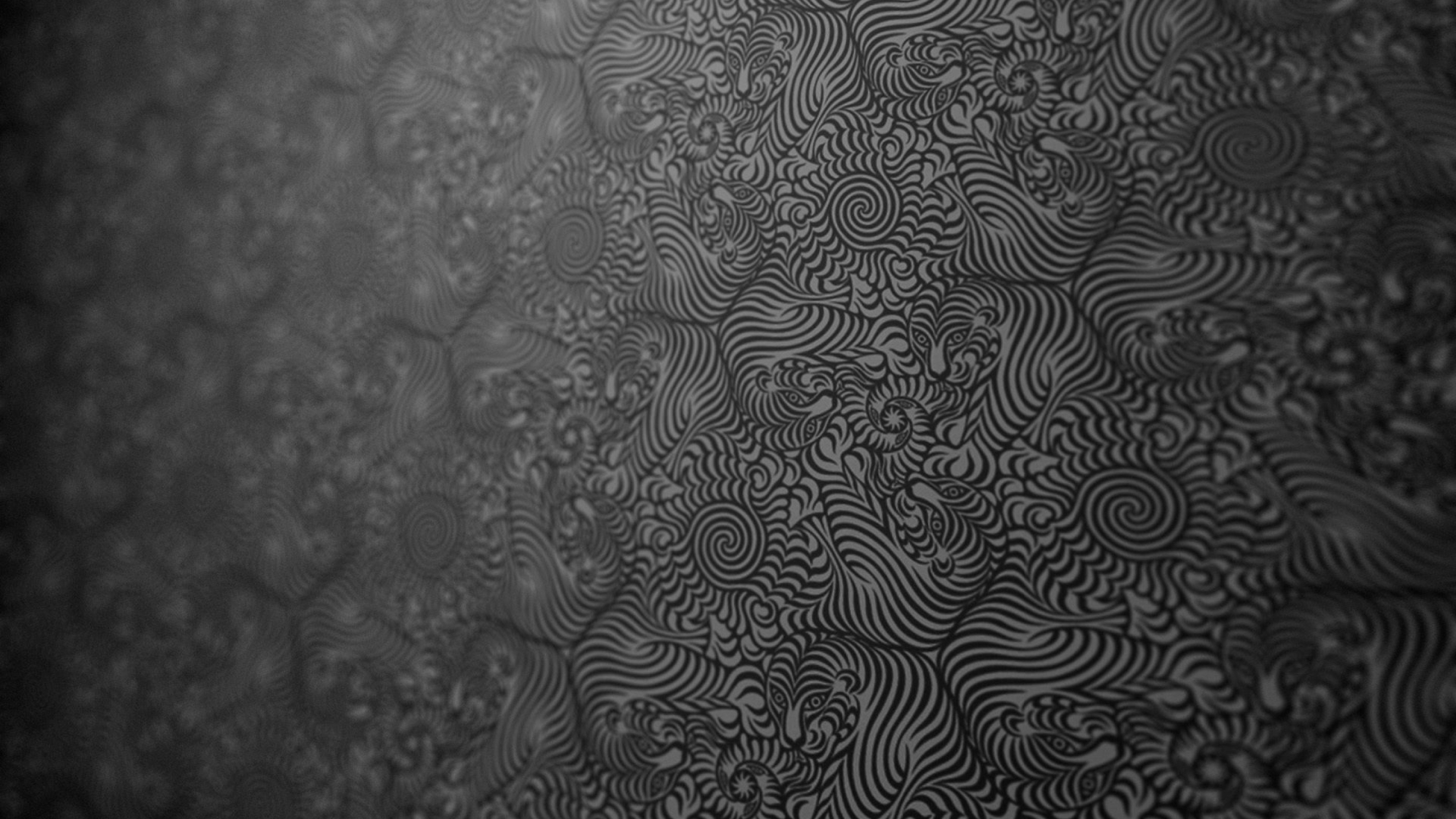 Textile Zèbre Noir et Blanc. Wallpaper in 2560x1440 Resolution