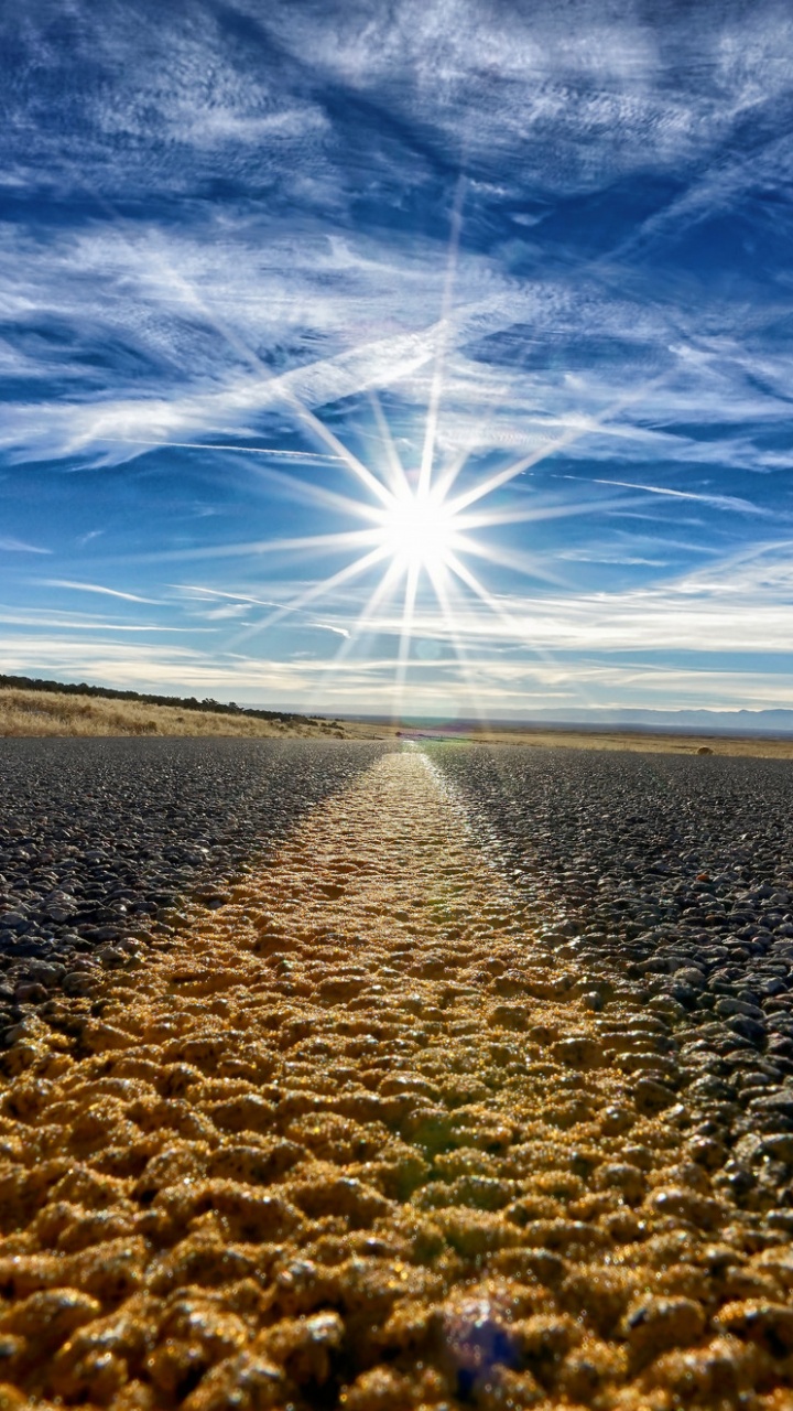 Purple Flower Field Under Blue Sky During Daytime. Wallpaper in 720x1280 Resolution