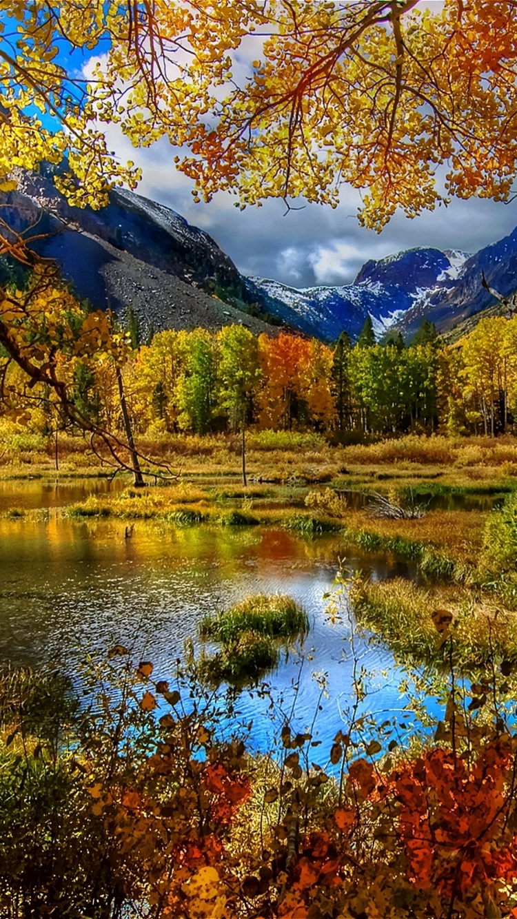 Grünes Gras Und Bäume in Der Nähe Von See Und Bergen Tagsüber. Wallpaper in 750x1334 Resolution