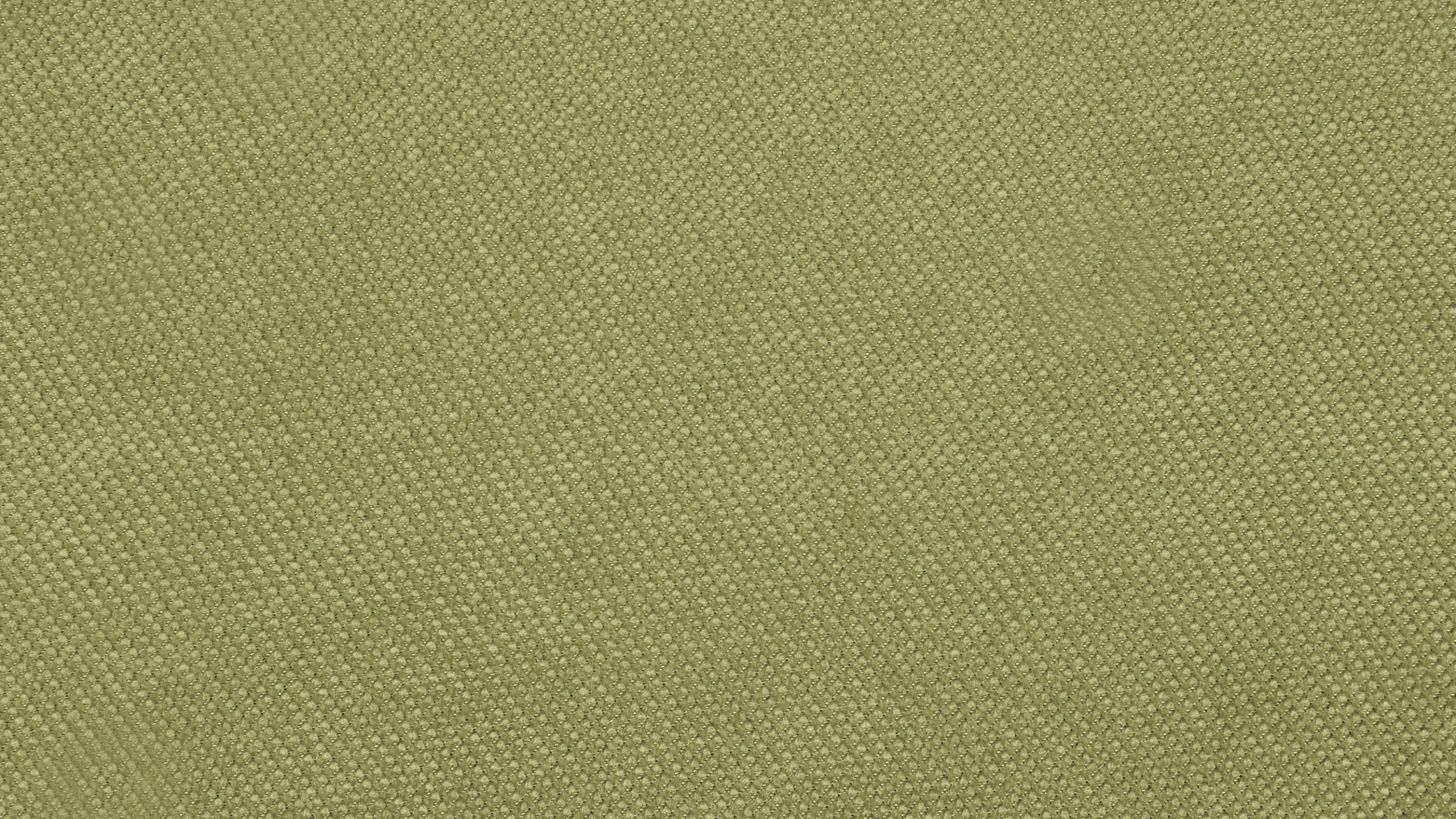 Grünes Textil in Nahaufnahme. Wallpaper in 2560x1440 Resolution