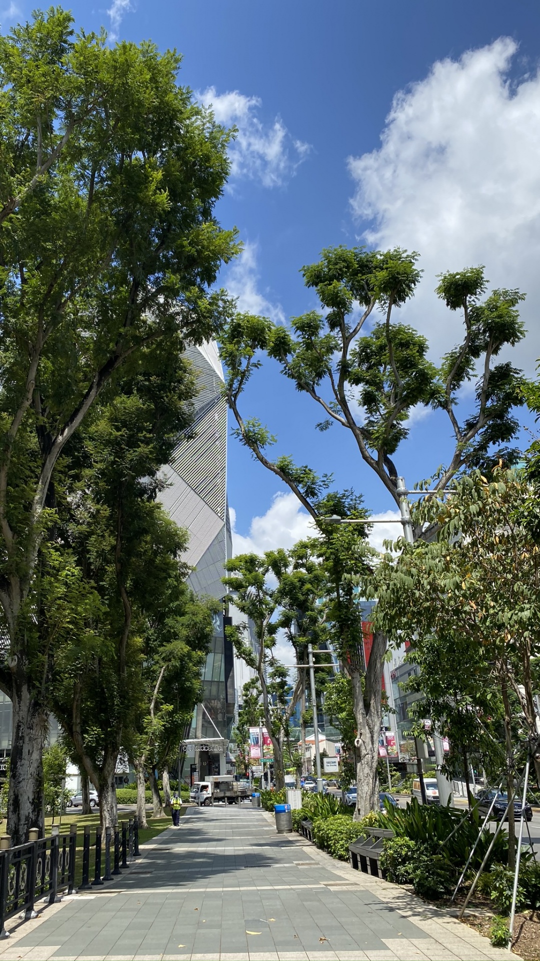 物理学, 街区, 公共空间, 木本植物, 街 壁纸 1080x1920 允许