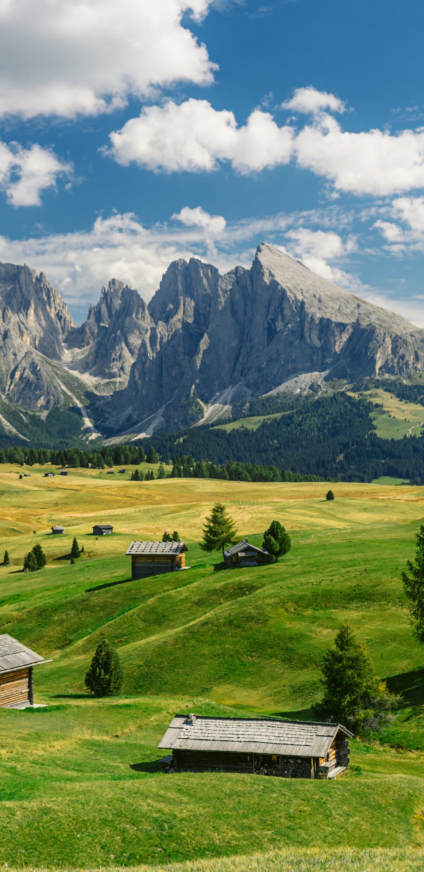 Grünland, Dolomiten, Herz Wie Ein LKW, Laney Wilson, Cloud. Wallpaper in 1440x2960 Resolution