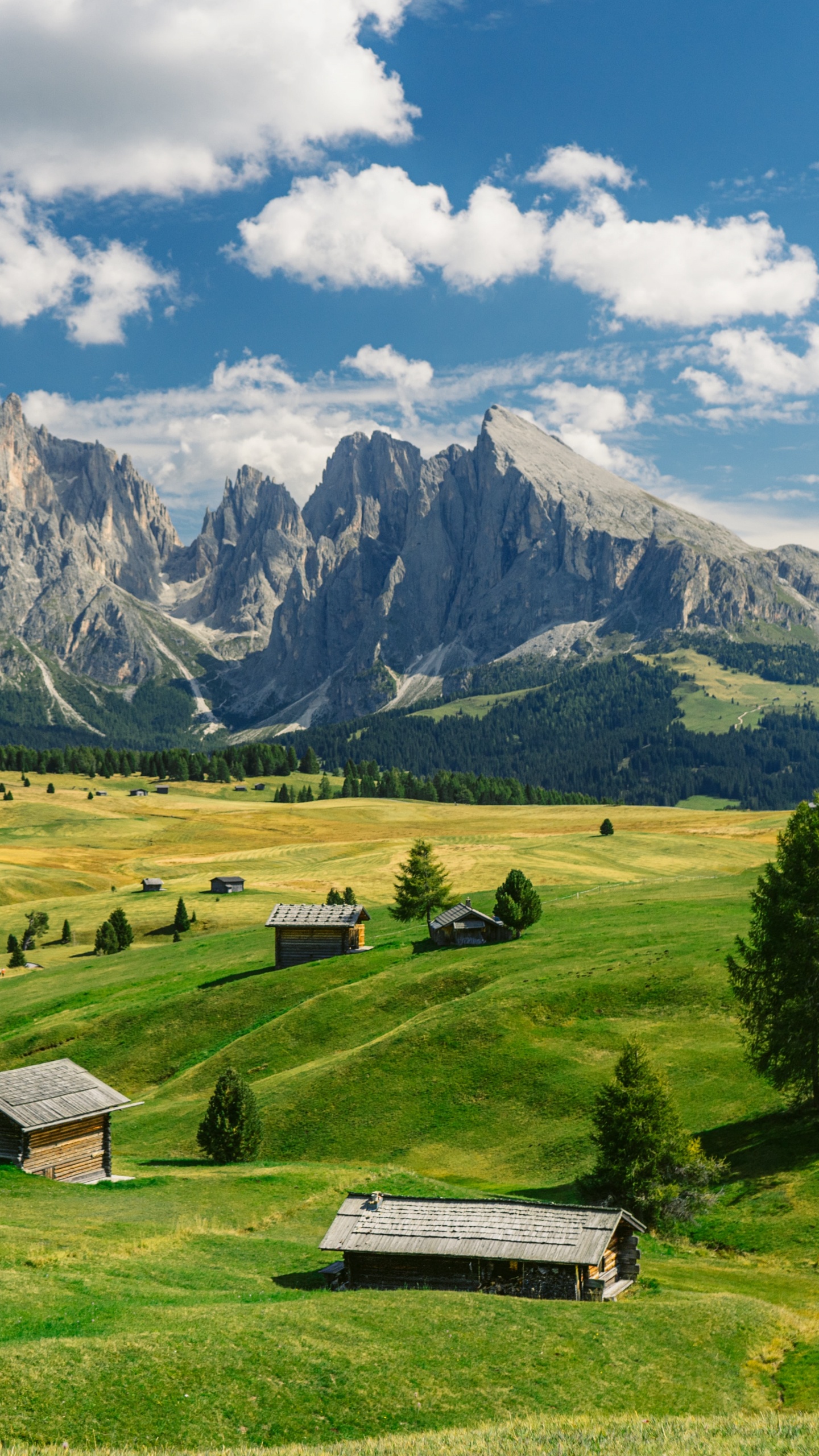 Prairie, Dolomites, Coeur Comme un Camion, Lainey Wilson, L'écorégion. Wallpaper in 1440x2560 Resolution