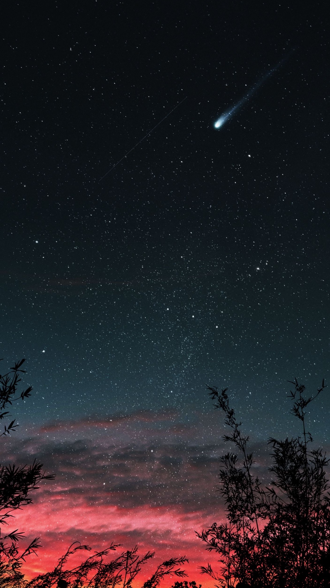 Atmosphere, Light, Natural Landscape, Branch, Tree. Wallpaper in 1080x1920 Resolution
