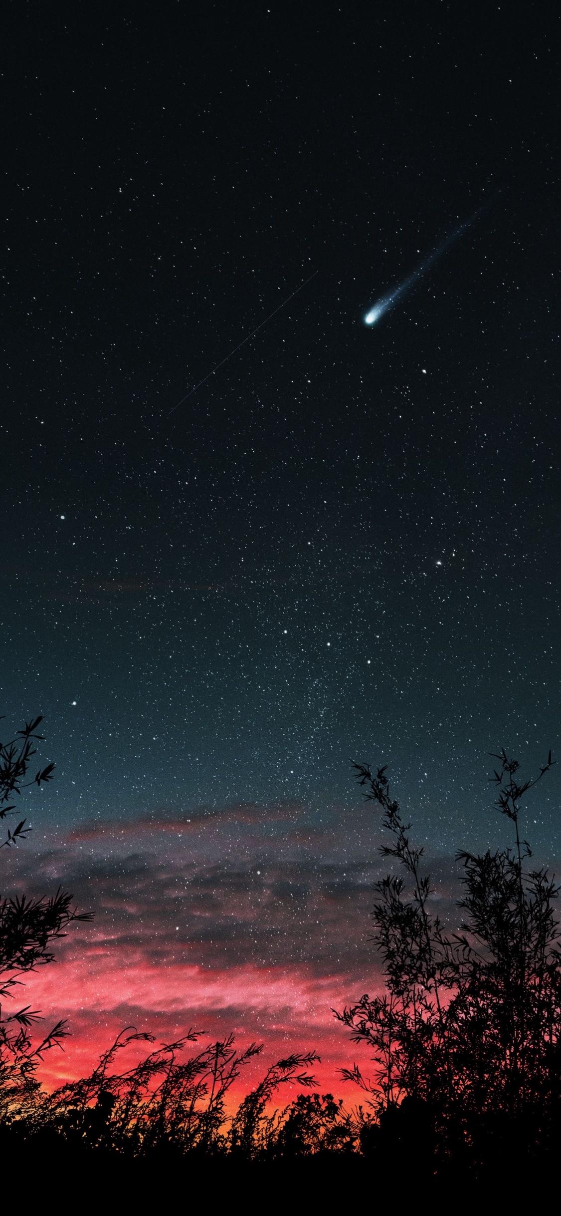 Atmosphere, Light, Natural Landscape, Branch, Tree. Wallpaper in 1125x2436 Resolution