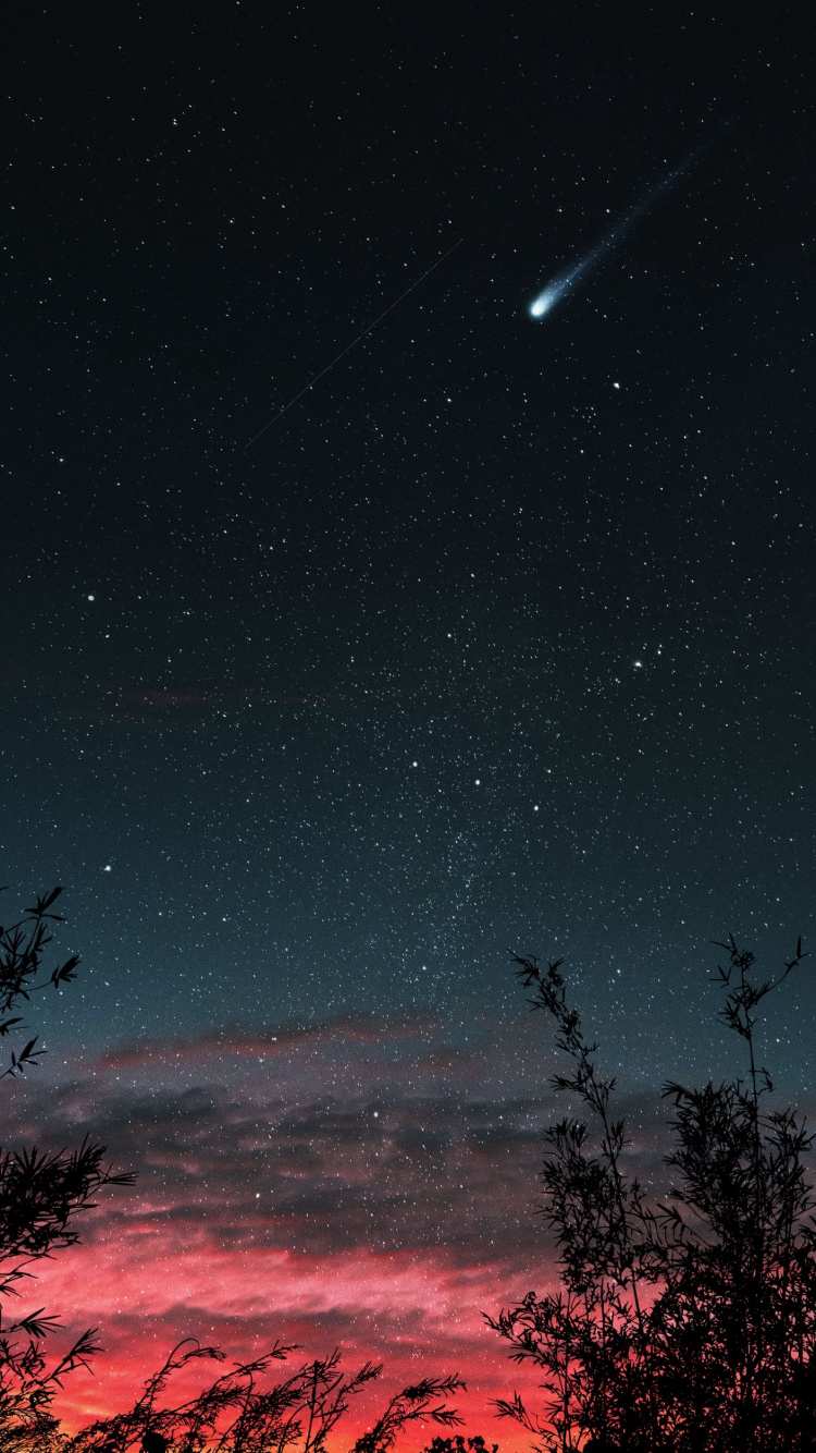 Atmosphere, Light, Natural Landscape, Branch, Tree. Wallpaper in 750x1334 Resolution