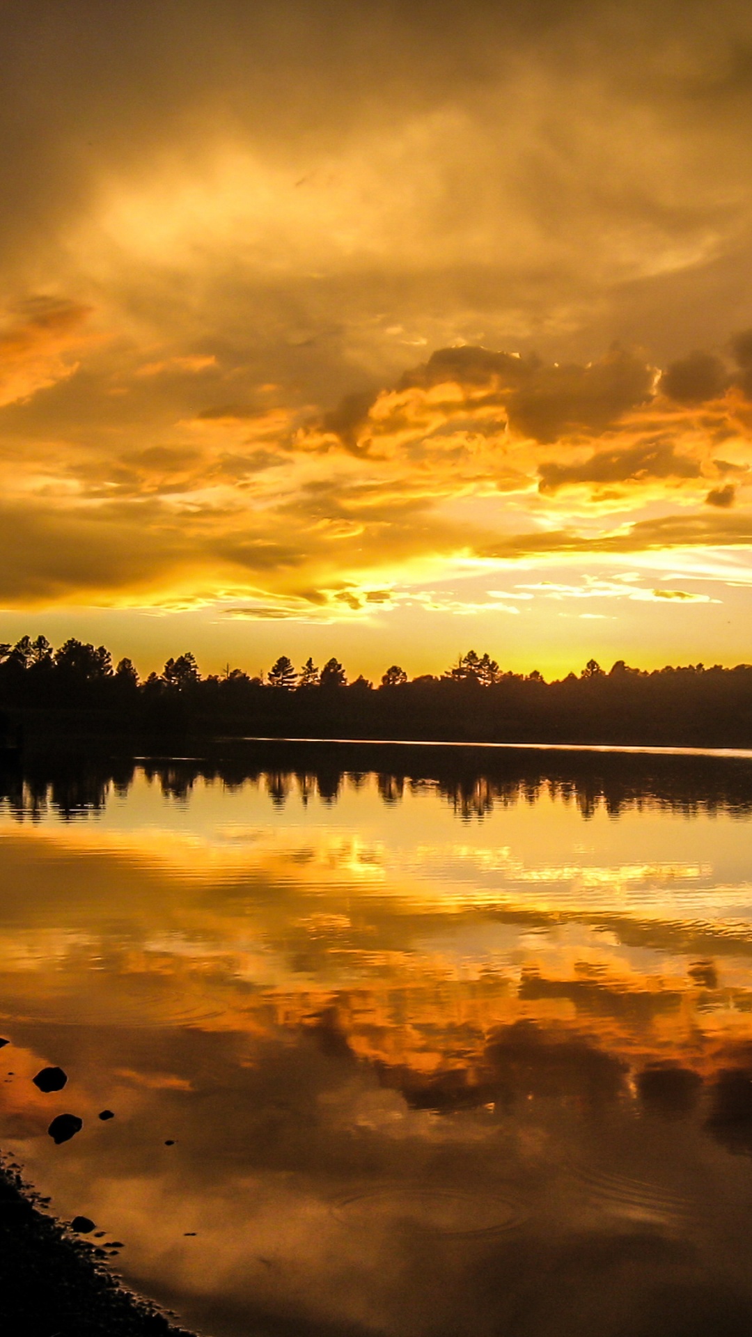 Plan D'eau Près Des Arbres au Coucher du Soleil. Wallpaper in 1080x1920 Resolution