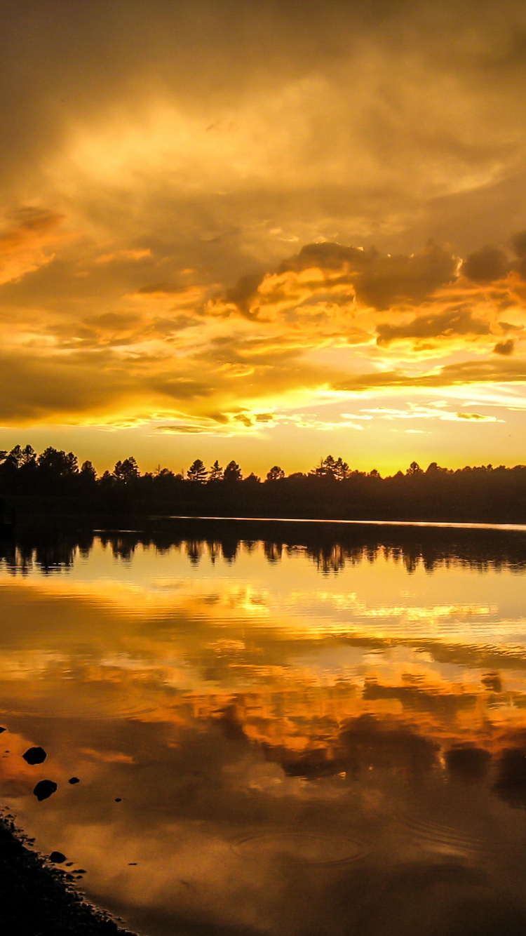 Cuerpo de Agua Cerca de Los Árboles Durante la Puesta de Sol. Wallpaper in 750x1334 Resolution