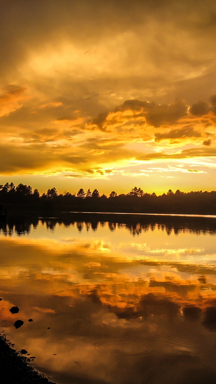 Gewässer in Der Nähe Von Bäumen Bei Sonnenuntergang. Wallpaper in 720x1280 Resolution