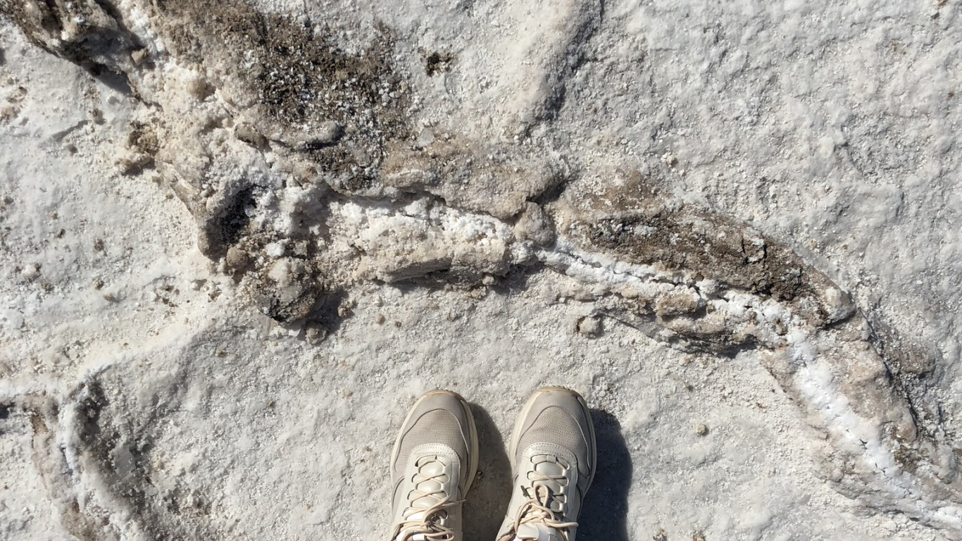 Nevada, el Valle de la Muerte, el Parque Nacional Valle de la Muerte, Humanos, Pierna. Wallpaper in 1366x768 Resolution