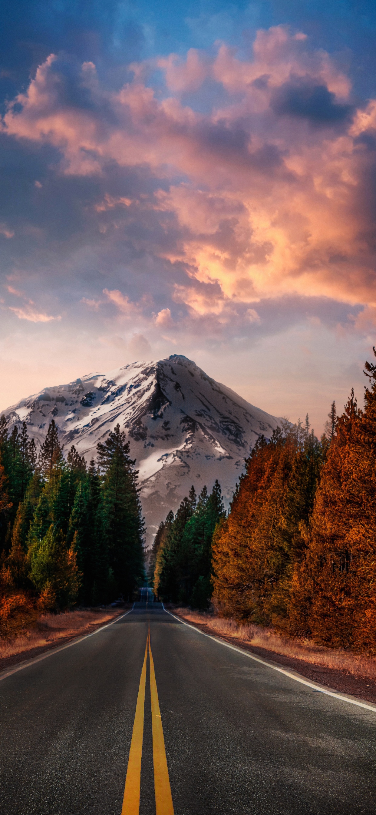 Naruto Uzumaki, Sasuke Uchiha, Courbe sf en Crdoba, Naruto Shippuden, sf à Crdoba. Wallpaper in 1242x2688 Resolution