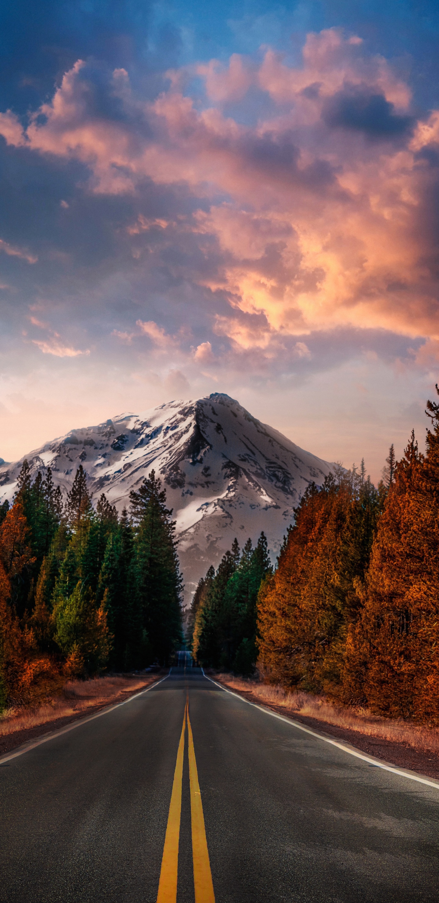 Naruto Uzumaki, Sasuke Uchiha, sf to Crdoba Curve, Naruto Shippuden, sf to Crdoba. Wallpaper in 1440x2960 Resolution