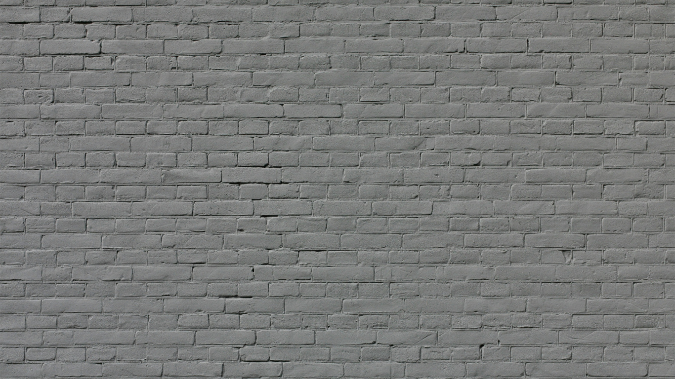 Mur de Briques Blanches et Noires. Wallpaper in 1366x768 Resolution