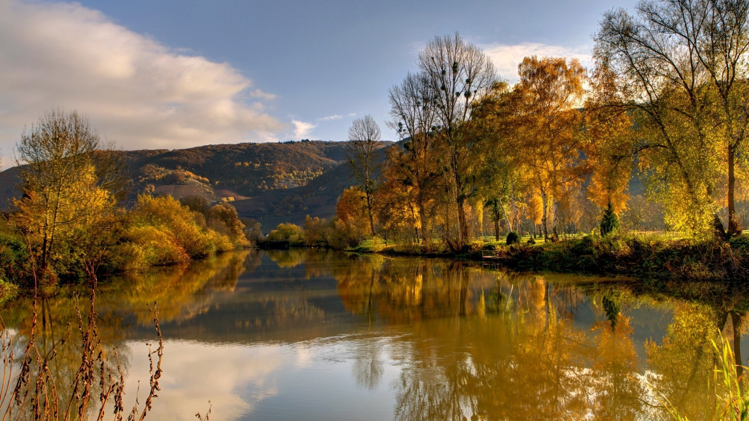 Green Trees Beside River Under Blue Sky During Daytime. Wallpaper in 2560x1440 Resolution