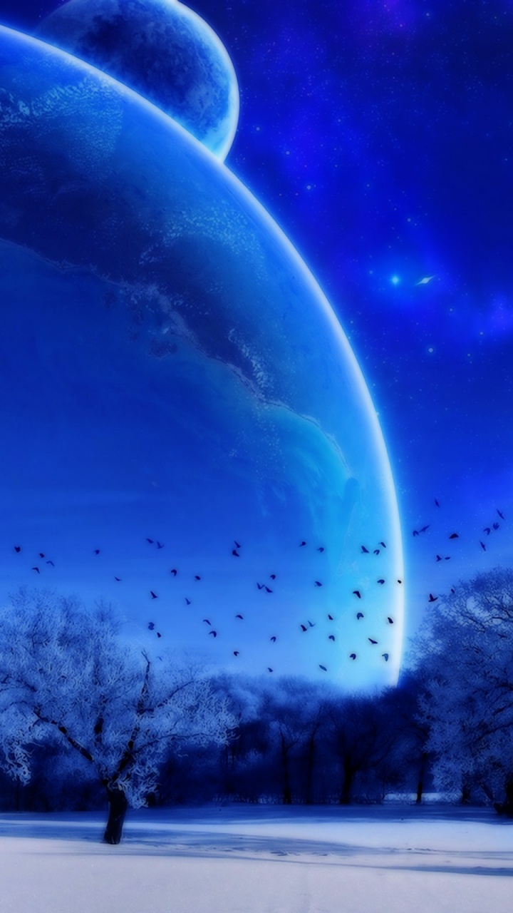 Kahle Bäume Unter Blauem Himmel Und Mond. Wallpaper in 720x1280 Resolution