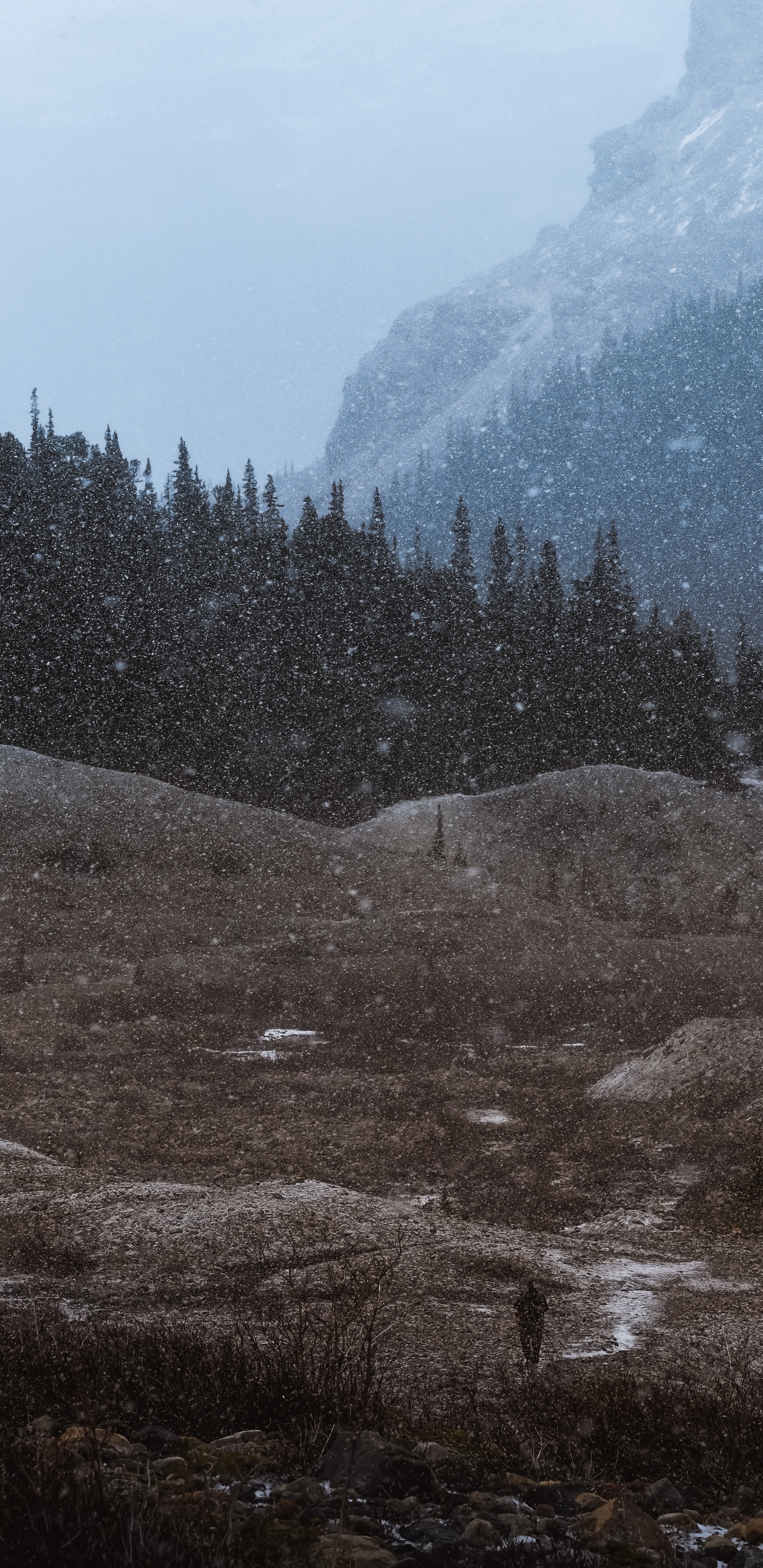 Wilderness, Highland, Hill, Geology, MGM-157 EFOGM. Wallpaper in 1440x2960 Resolution