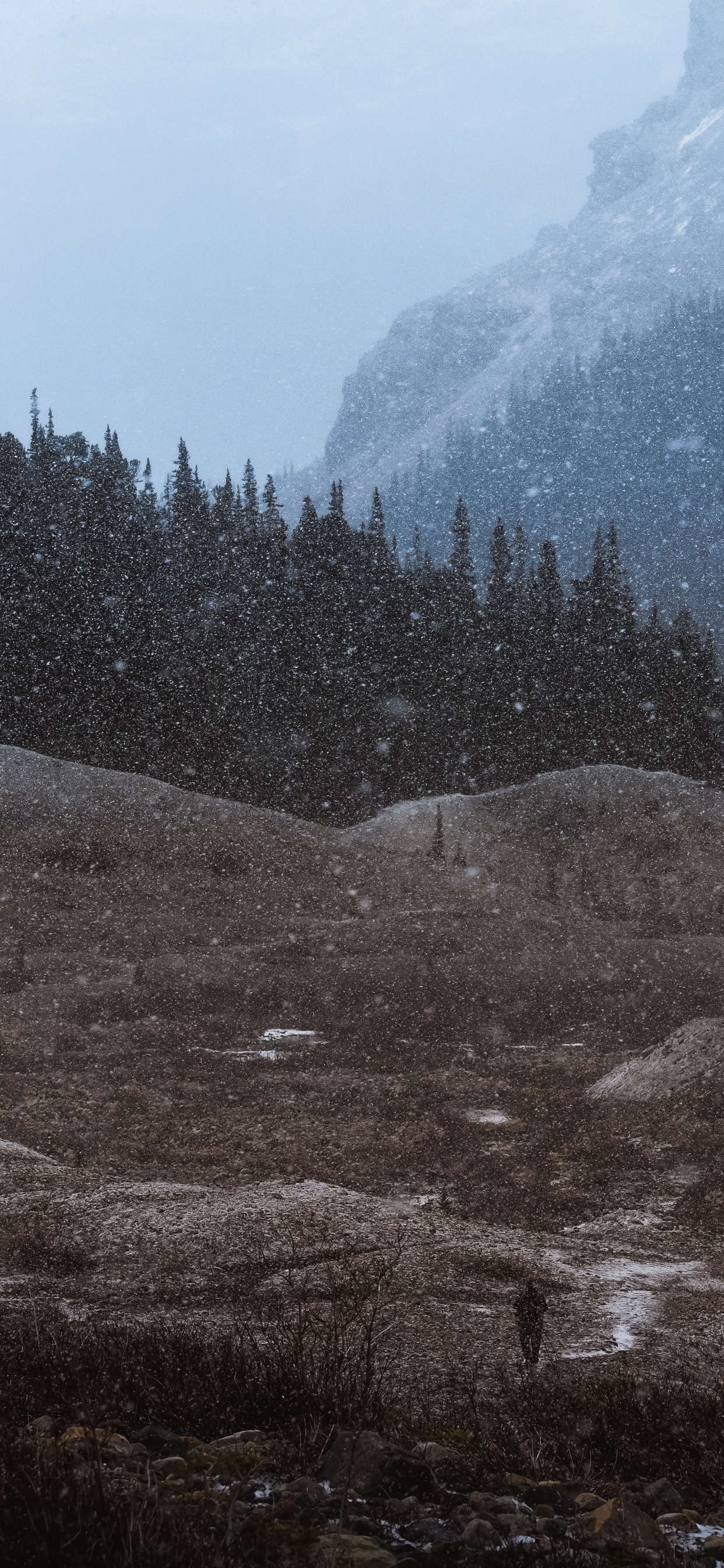 Wildnis, Hochland, Hill, Geologie, Tal. Wallpaper in 1242x2688 Resolution