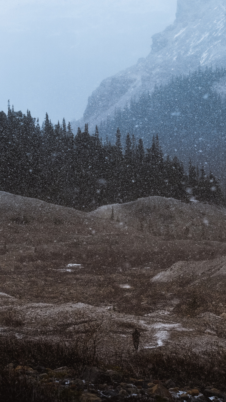 Wildnis, Hochland, Hill, Geologie, Tal. Wallpaper in 750x1334 Resolution