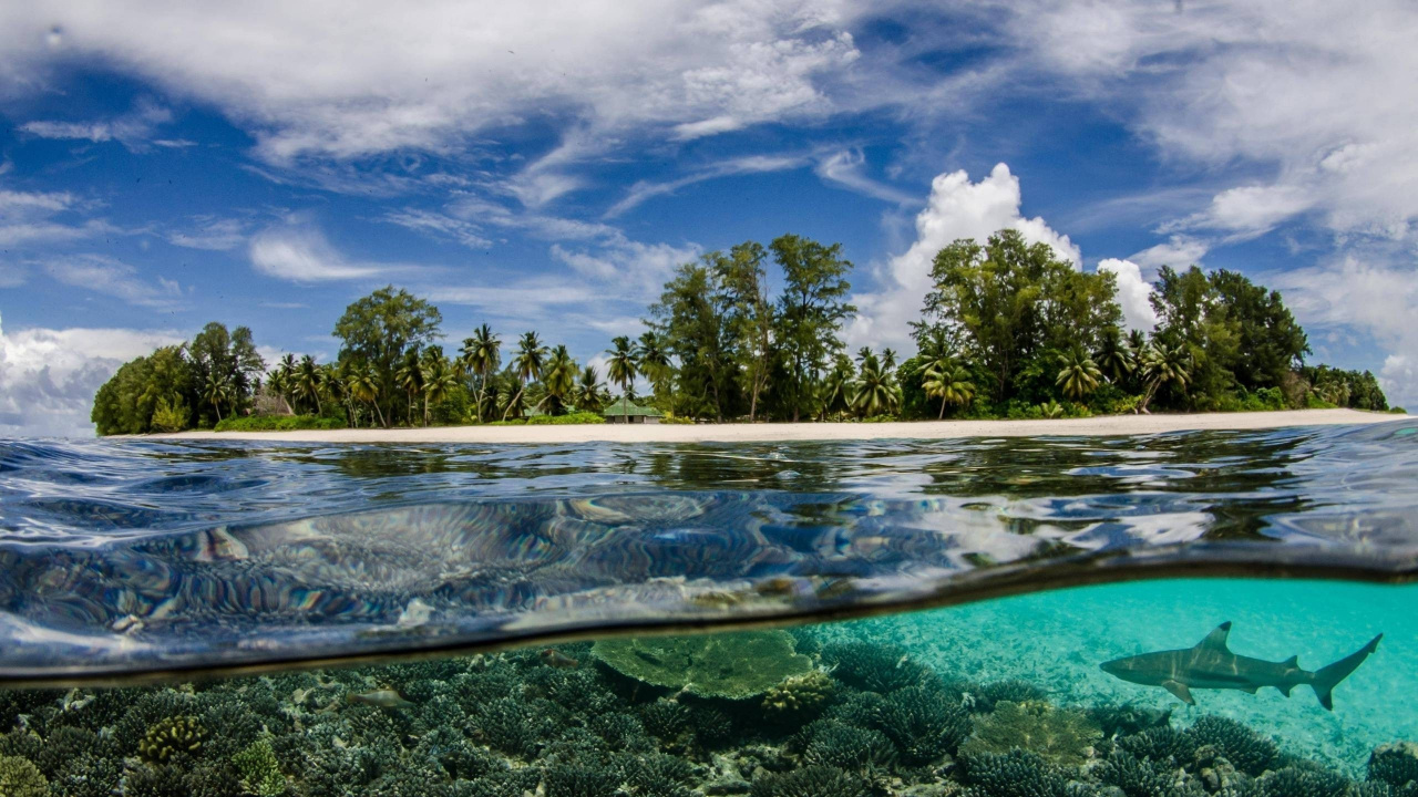 Grüne Bäume Neben Blauem Meer Unter Blauem Himmel Und Weißen Wolken Tagsüber. Wallpaper in 1280x720 Resolution