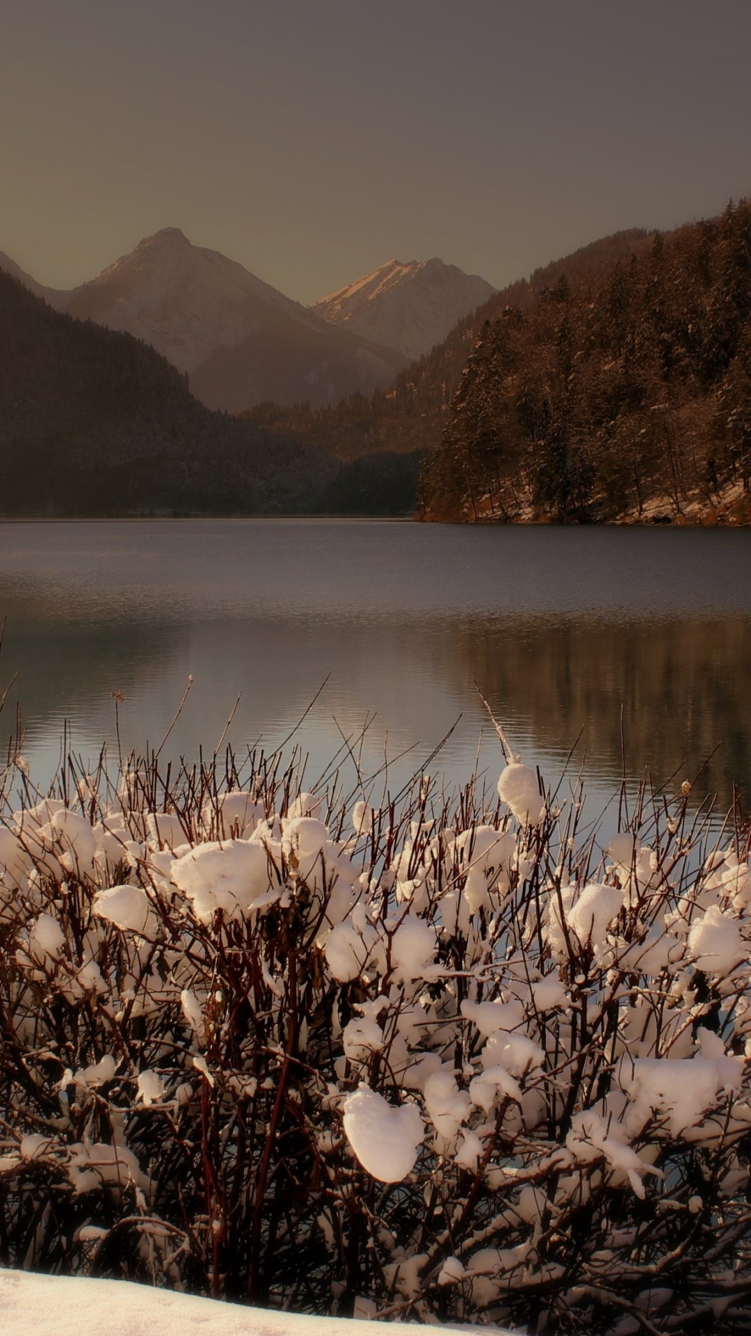 Flores Blancas Sobre la Nieve Blanca Cerca Del Lago. Wallpaper in 1080x1920 Resolution