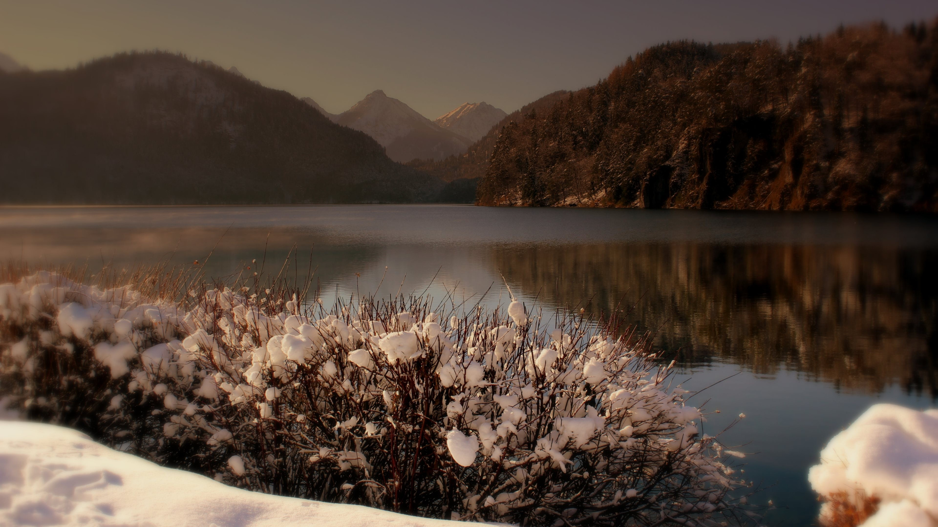 Fleurs Blanches Sur la Neige Blanche Près du Lac. Wallpaper in 1920x1080 Resolution