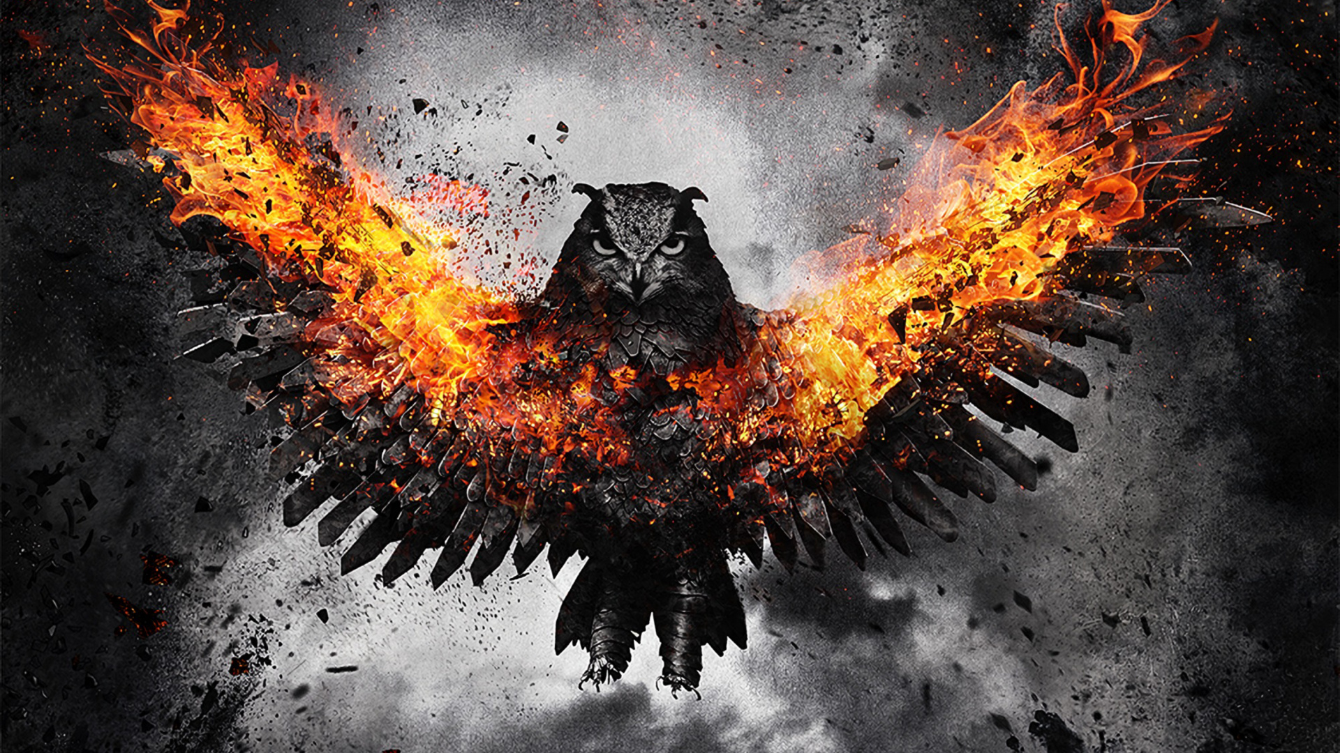 Burning Fire on Fire Pit. Wallpaper in 1920x1080 Resolution