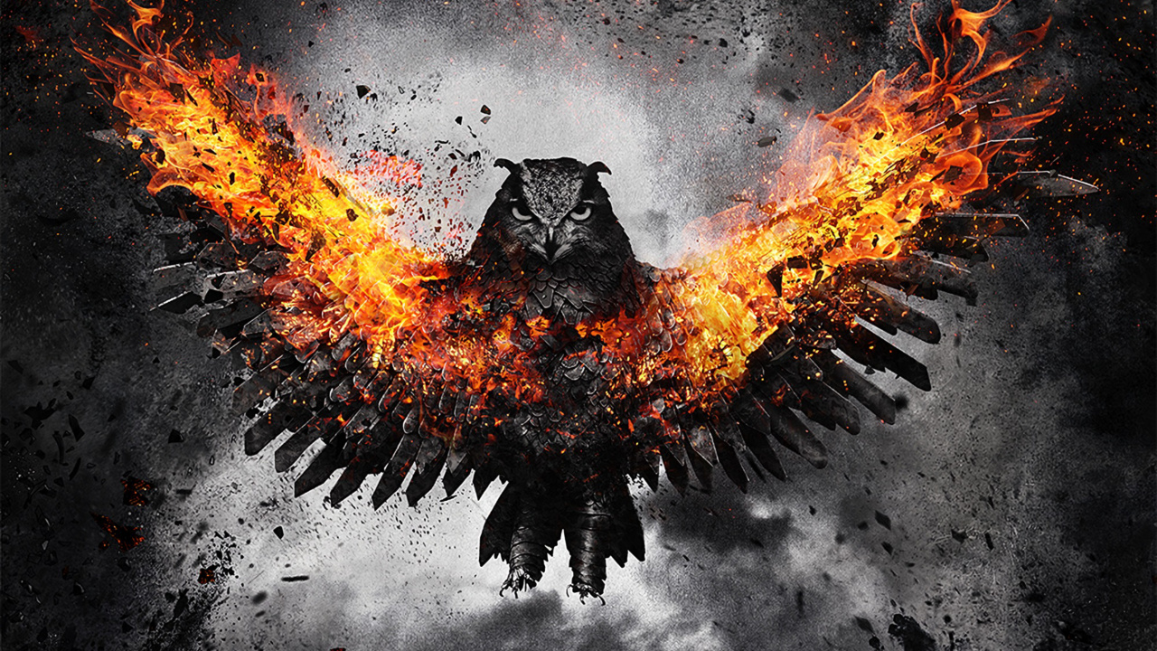 Feu Brûlant Sur Feu de Camp. Wallpaper in 1280x720 Resolution