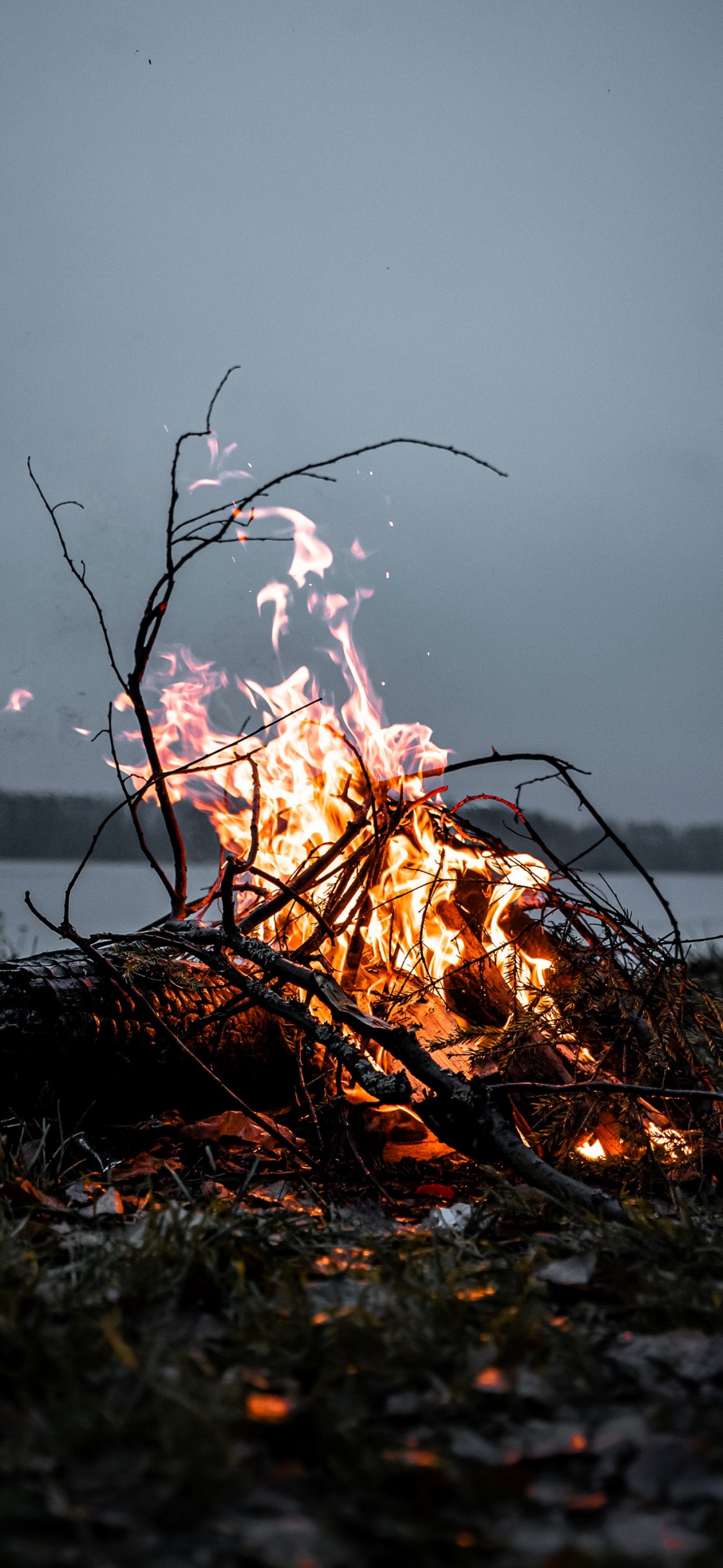 Bendiciones Imbolc, Entrada, Ritual, Hormiga Macandrew, Ramita. Wallpaper in 1125x2436 Resolution