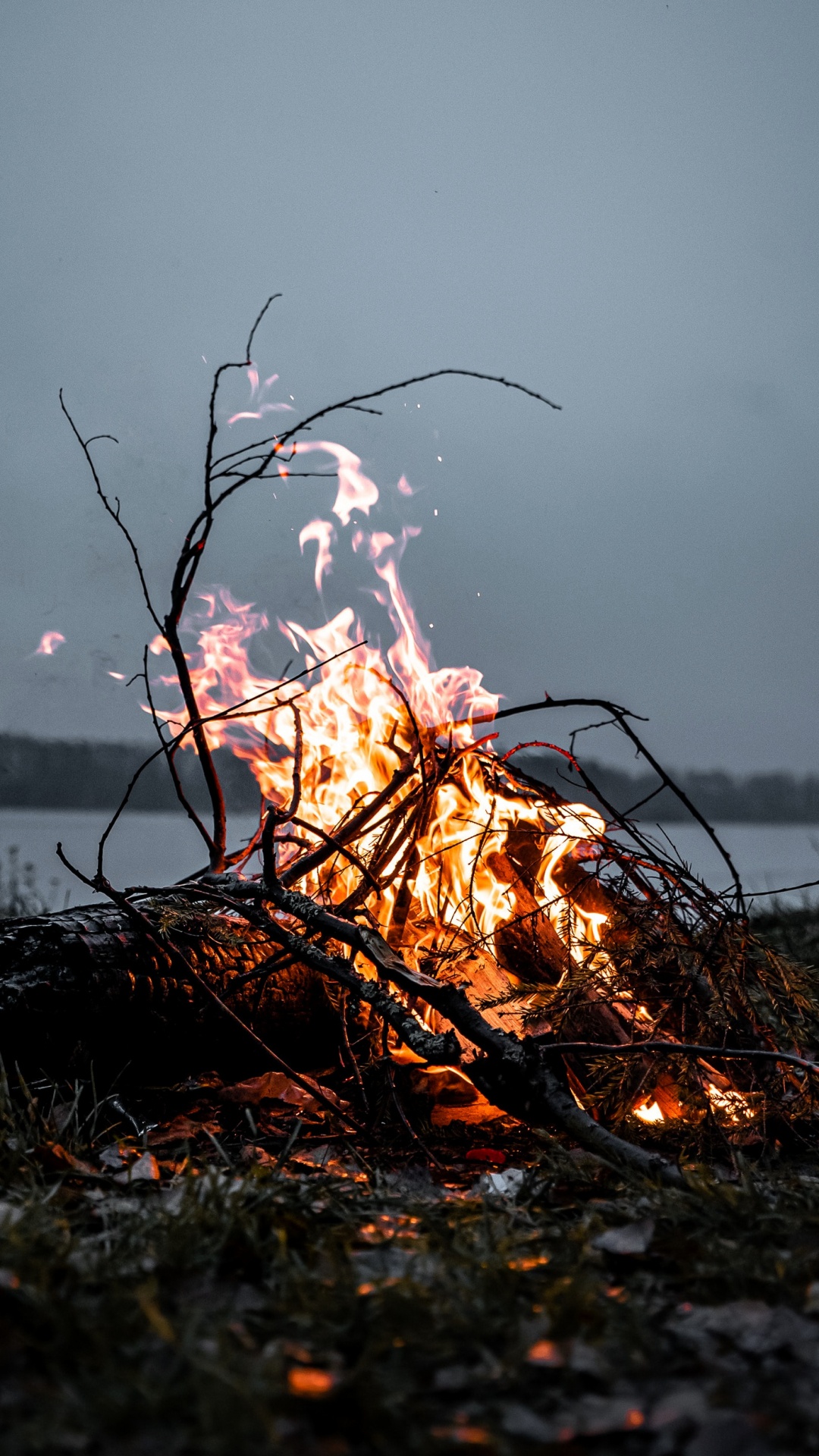 Imbolc Blessings, Imbolc, Ritual, Ant Macandrew, Twig. Wallpaper in 1080x1920 Resolution