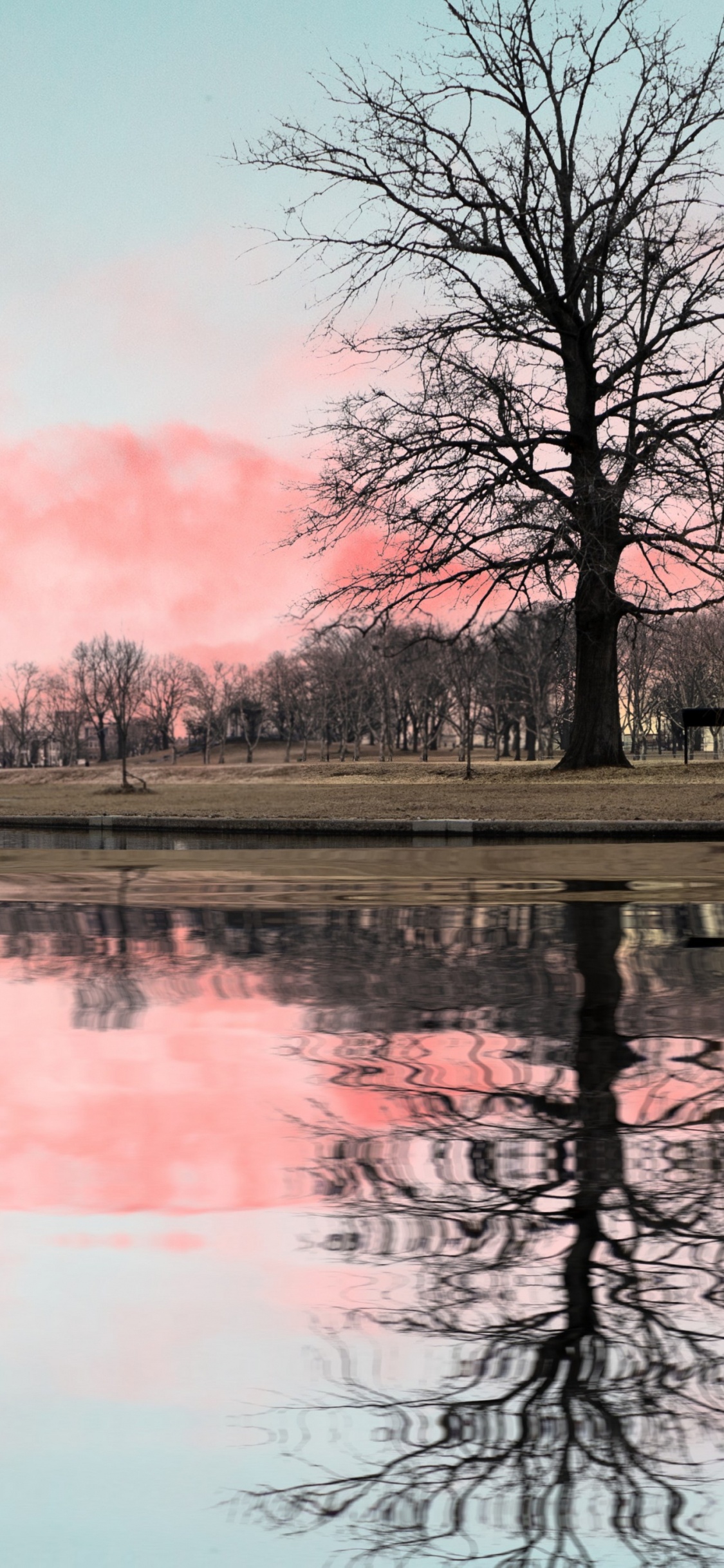 Agua, Ambiente, Ave, Afterglow, Paisaje Natural. Wallpaper in 1125x2436 Resolution