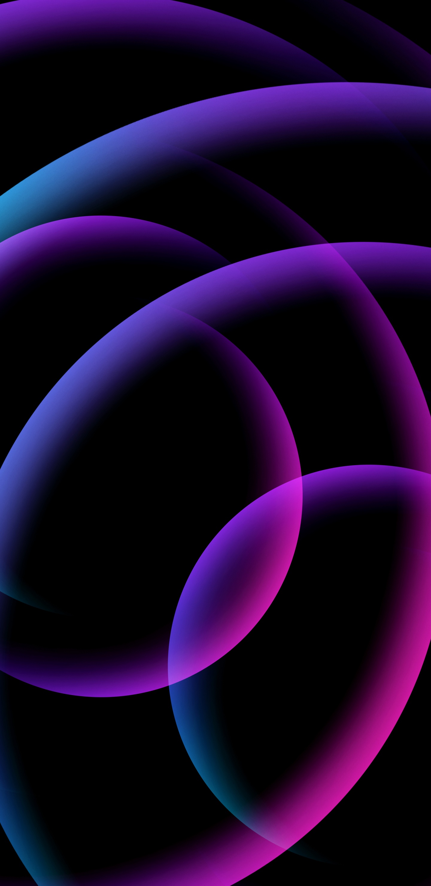 Cercle, la Pureté de la Couleur, Purple, Azure, Violette. Wallpaper in 1440x2960 Resolution