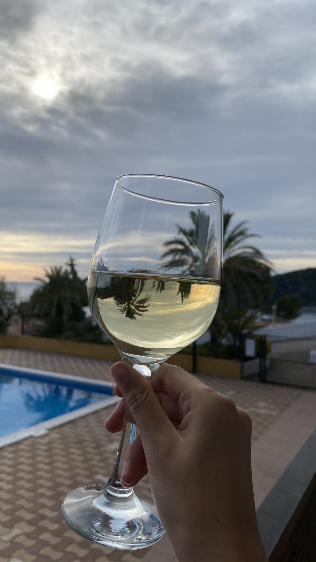 Wasser, Wein, Becher, Flüssigkeit, Drinkware. Wallpaper in 1080x1920 Resolution