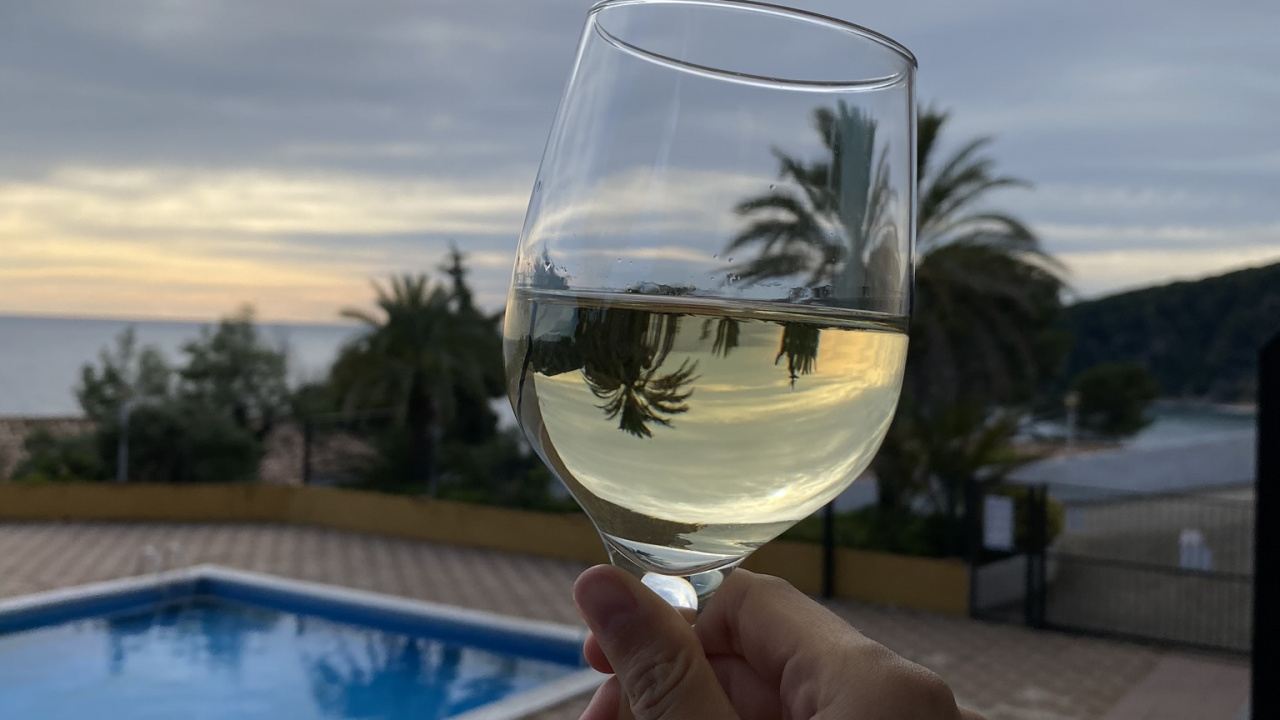 Wasser, Wein, Becher, Flüssigkeit, Drinkware. Wallpaper in 1280x720 Resolution