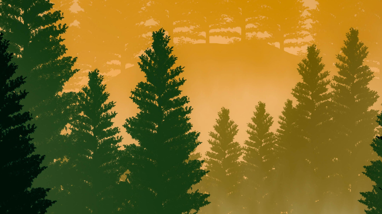 Naturaleza, Ambiente, Verde, Paisaje Natural, Ave. Wallpaper in 1280x720 Resolution