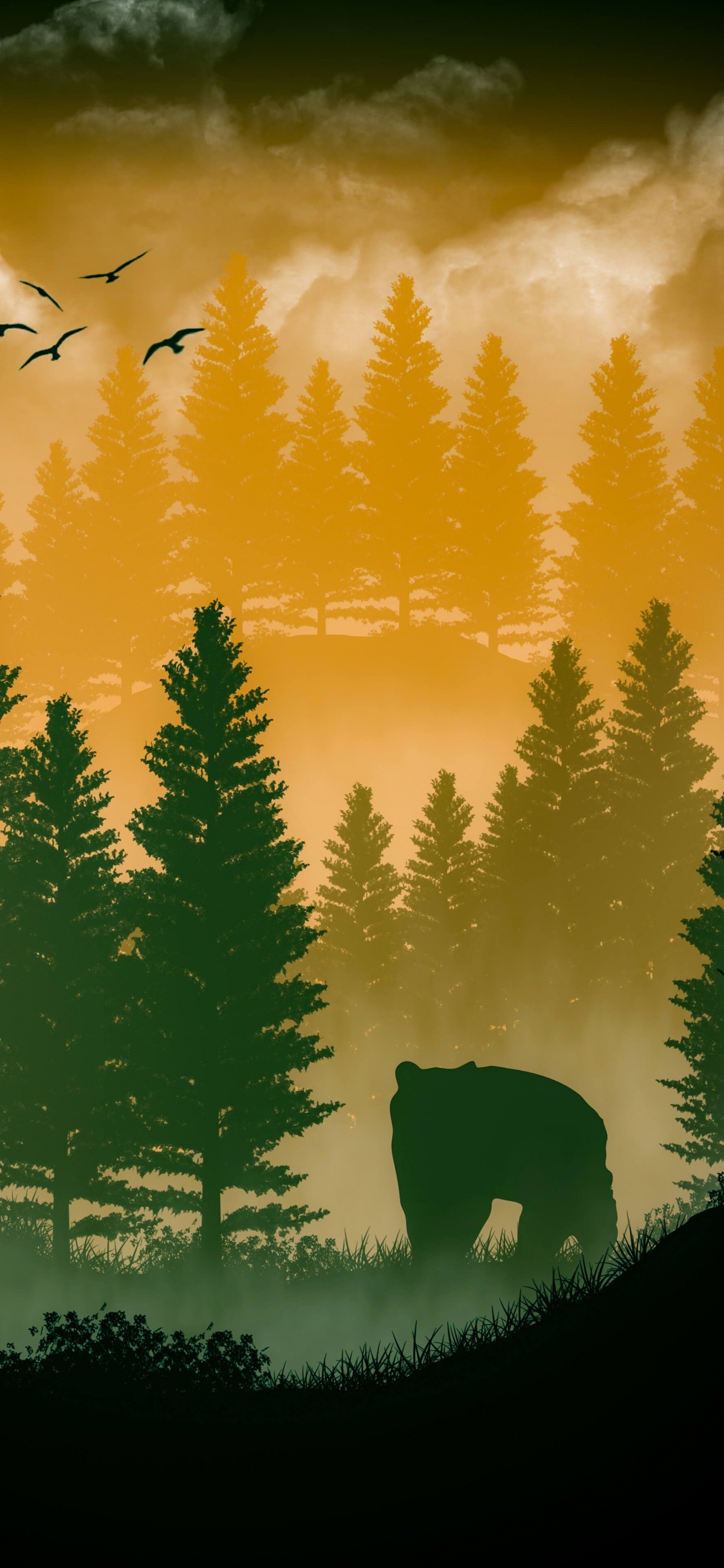 Nature, Atmosphere, Cloud, Green, Plant. Wallpaper in 1125x2436 Resolution