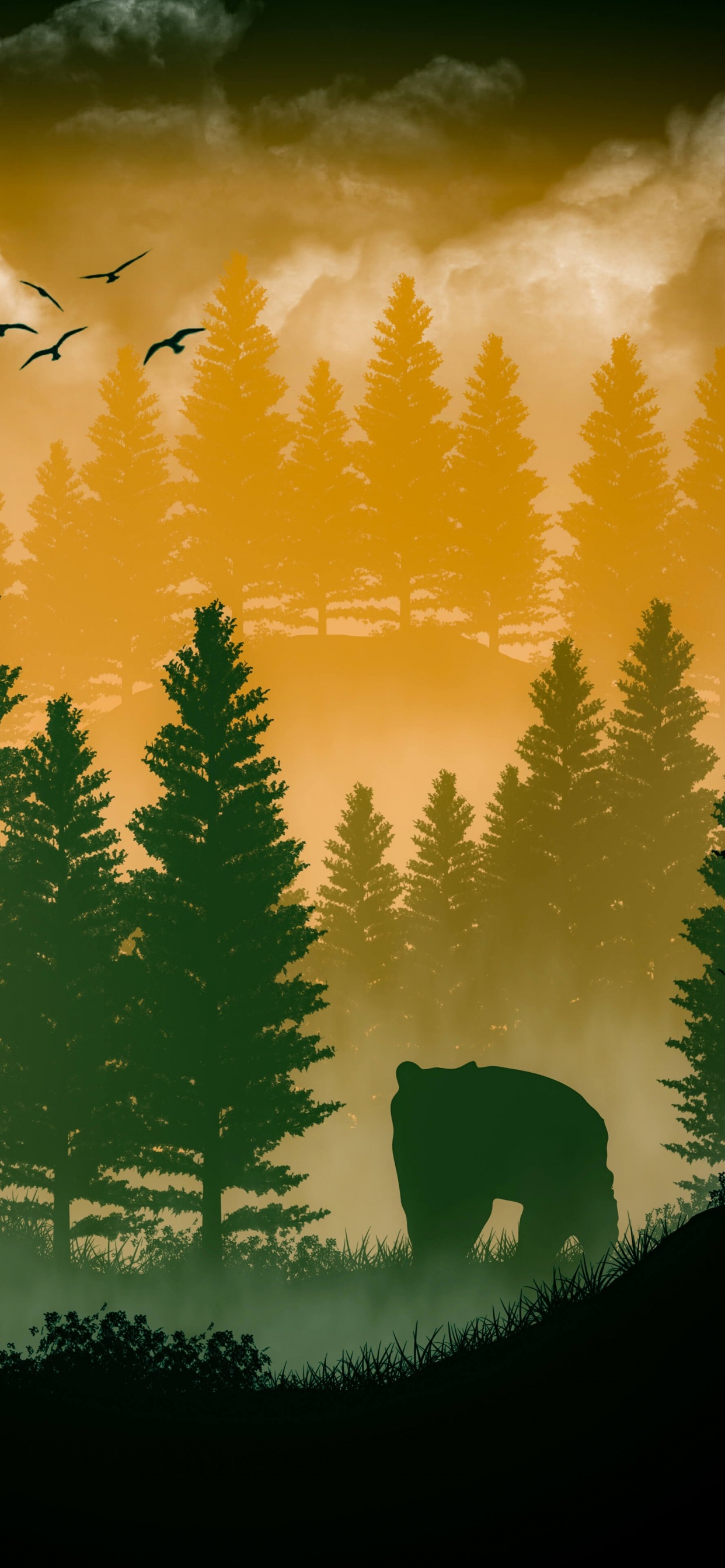 Nature, Atmosphere, Cloud, Green, Plant. Wallpaper in 1242x2688 Resolution