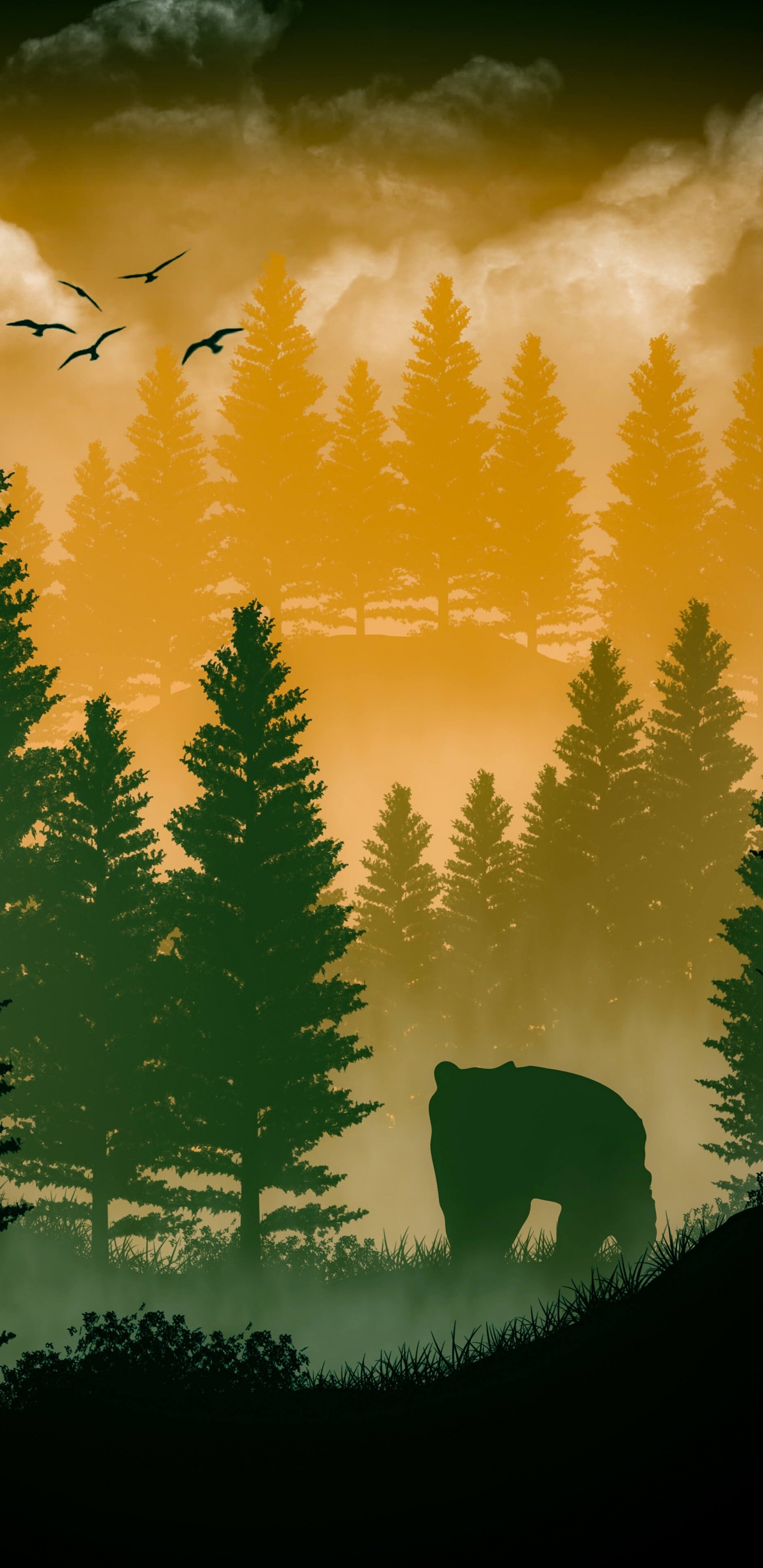 Nature, Atmosphere, Cloud, Green, Plant. Wallpaper in 1440x2960 Resolution