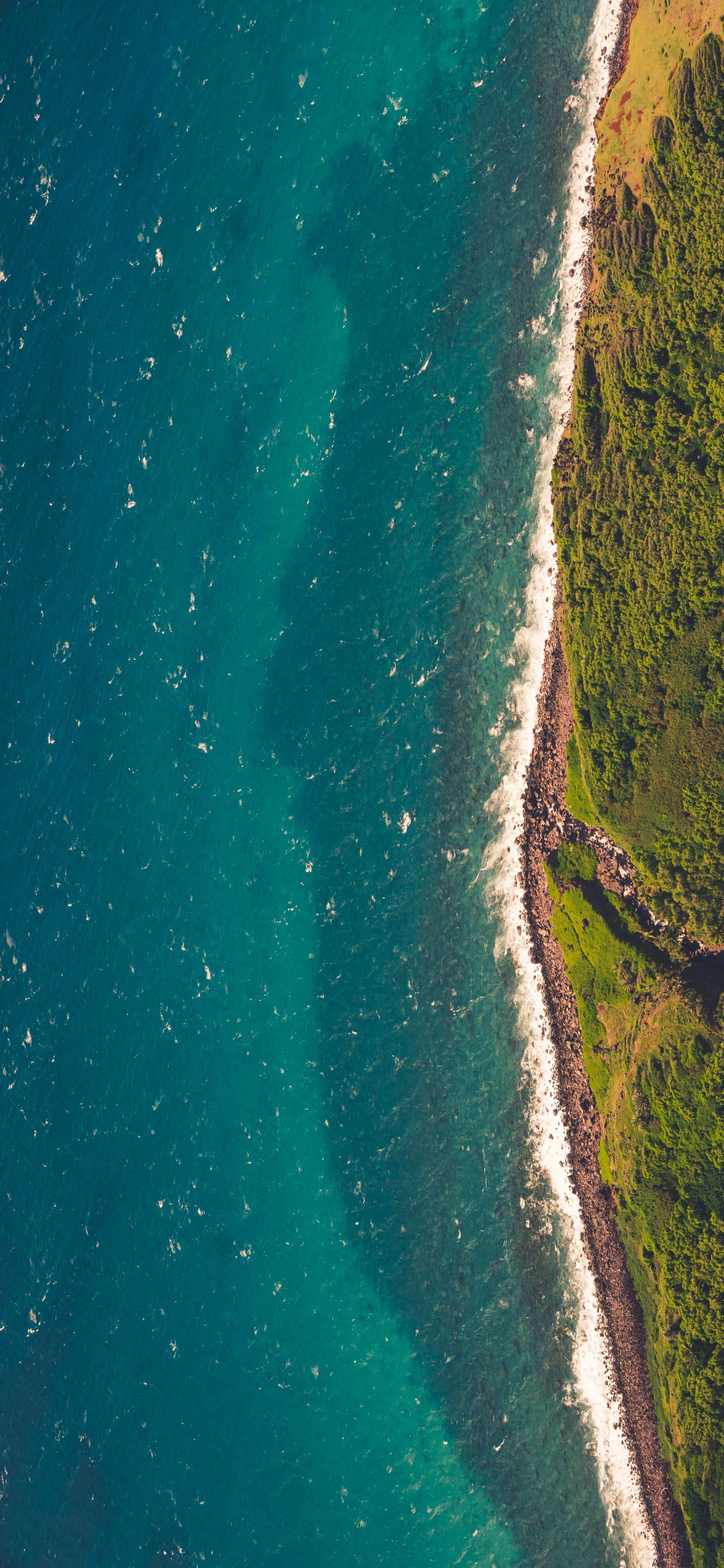 Beach, Sea, Ocean, Nature, Water. Wallpaper in 1125x2436 Resolution