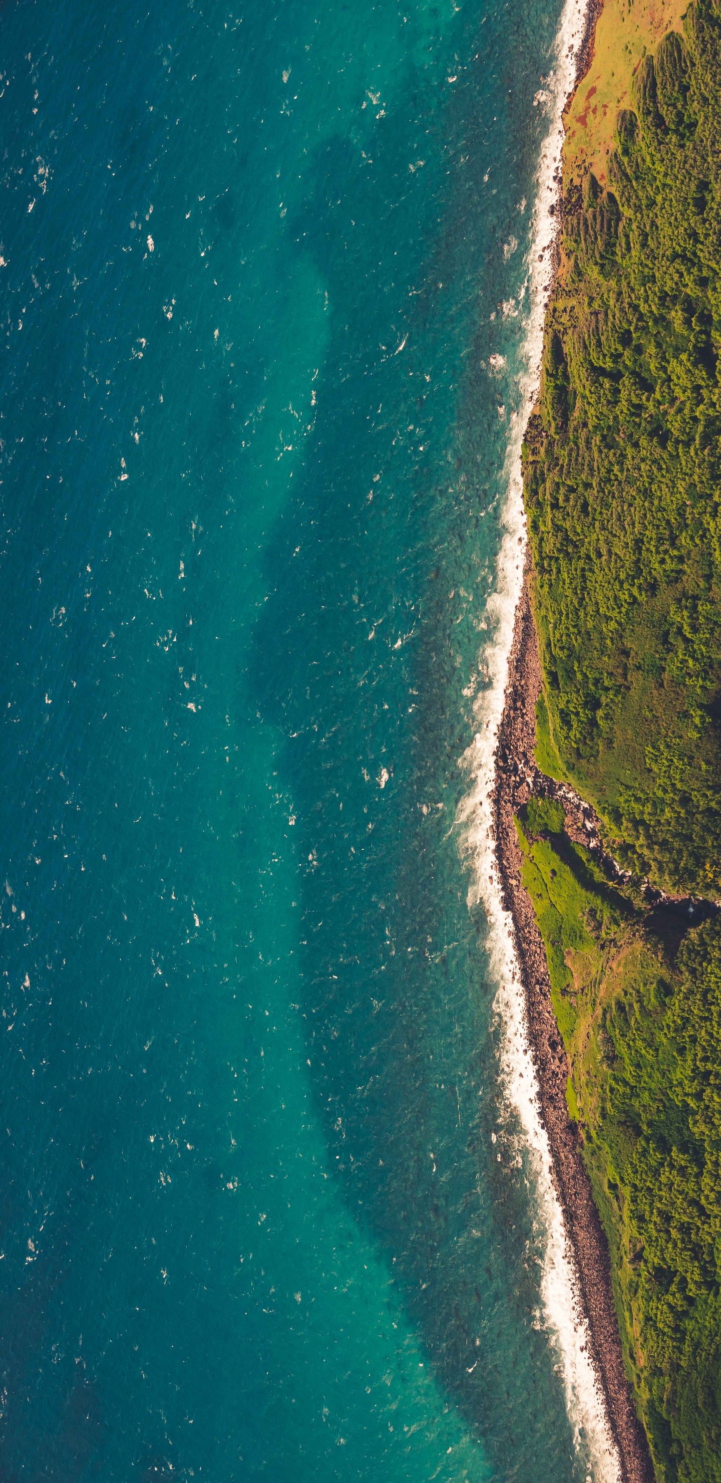 Playa, Mar, Oceano, Naturaleza, Agua. Wallpaper in 1440x2960 Resolution