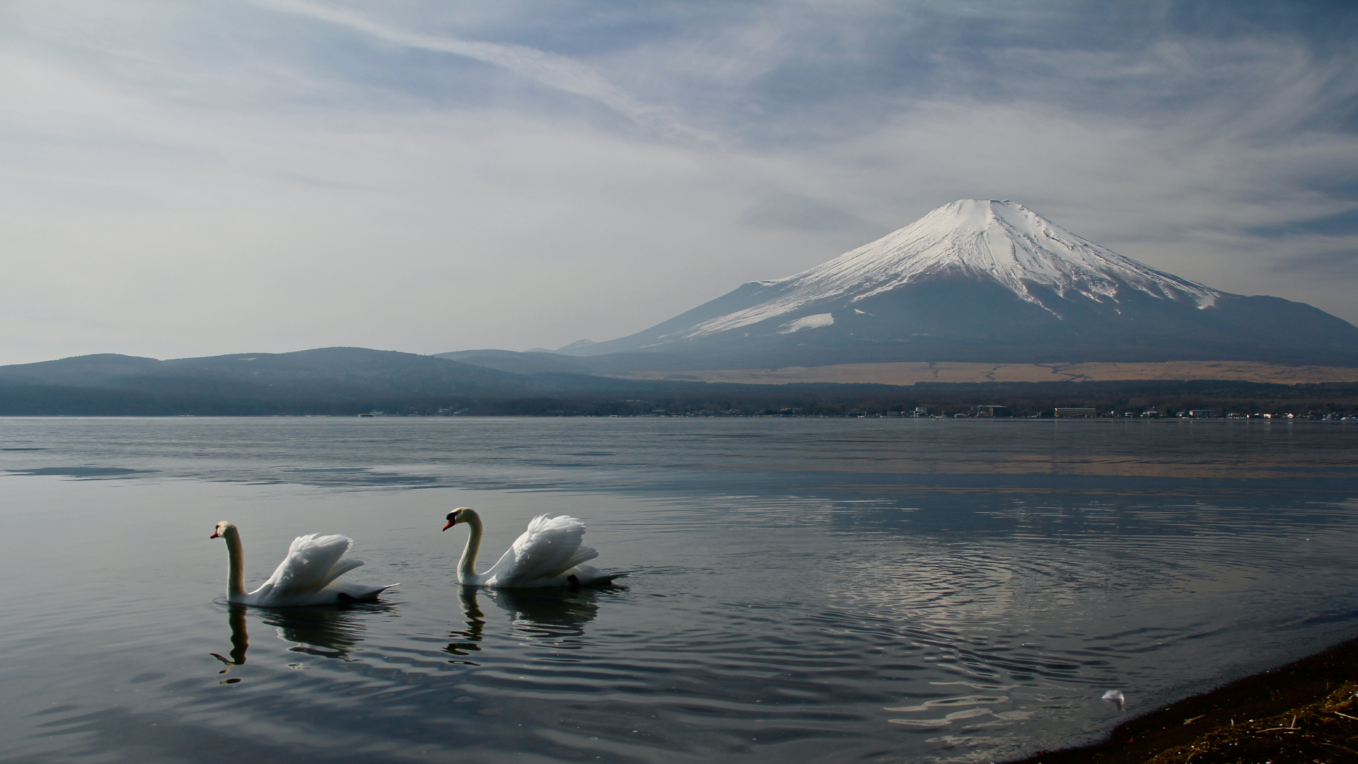 le Mont Fuji, Eau, Oiseau, Lac, Highland. Wallpaper in 1920x1080 Resolution