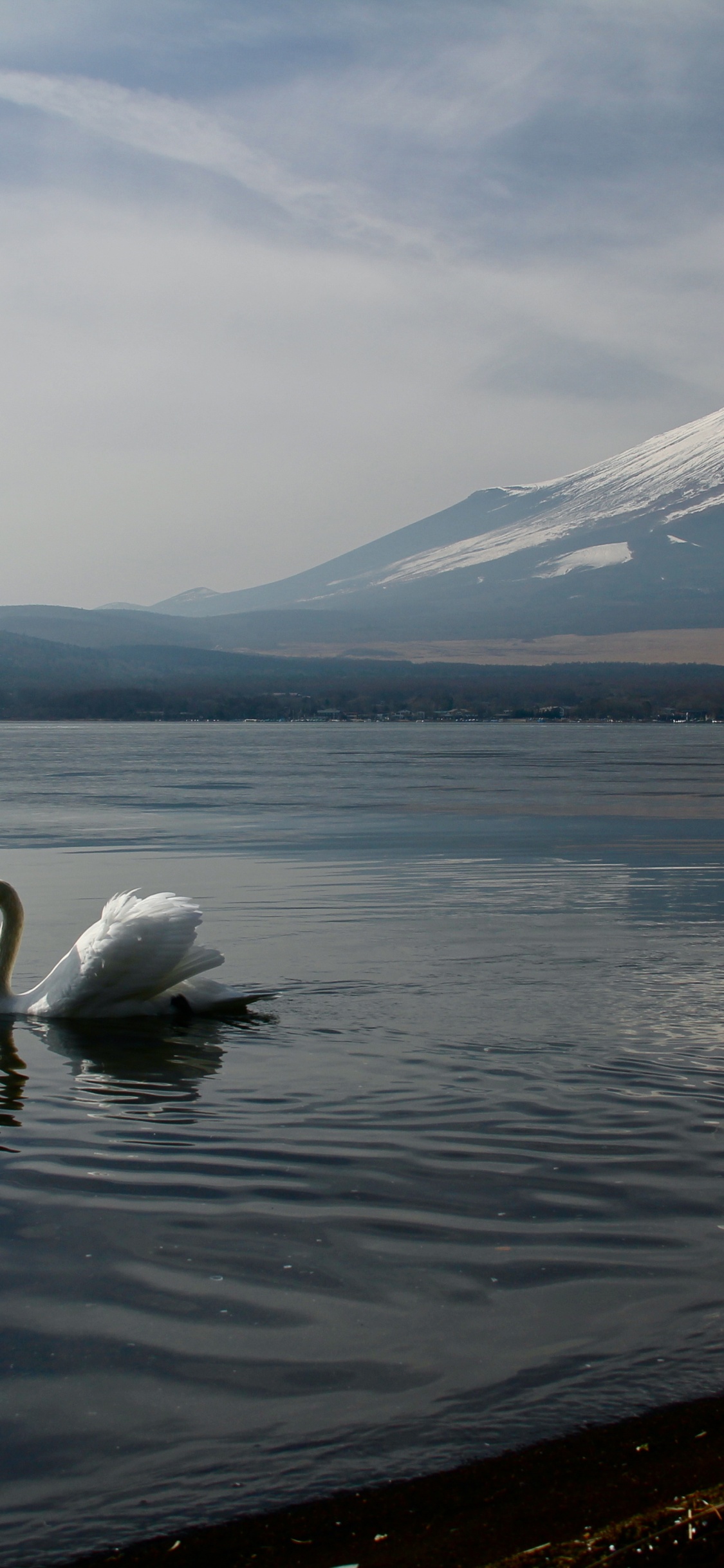 Mount Fuji, Wasser, Cloud, Vogel, See. Wallpaper in 1125x2436 Resolution