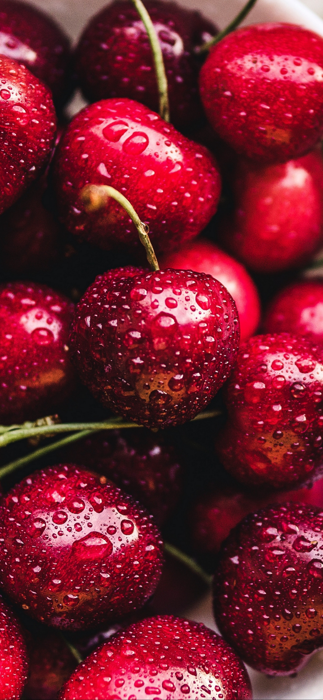 100 Berry Pictures HD  Download Free Images on Unsplash