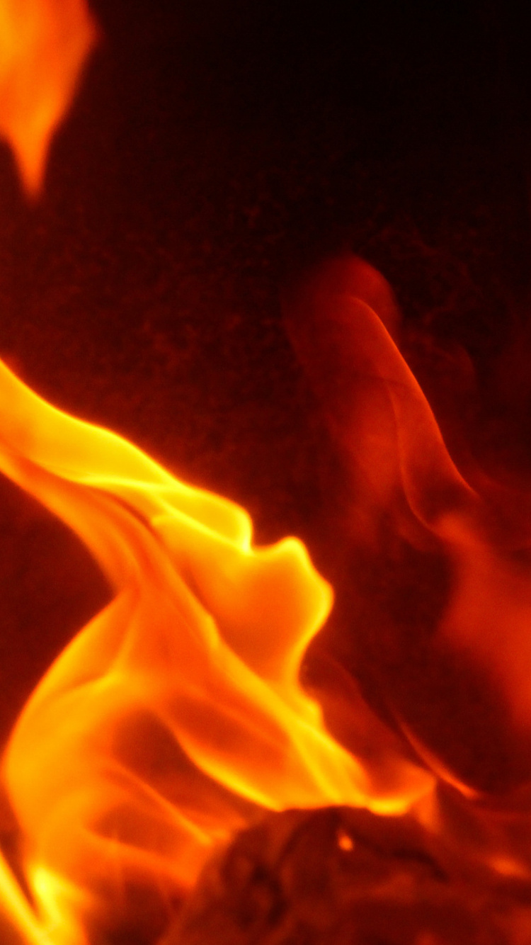 Fuego en Medio de la Oscuridad. Wallpaper in 750x1334 Resolution