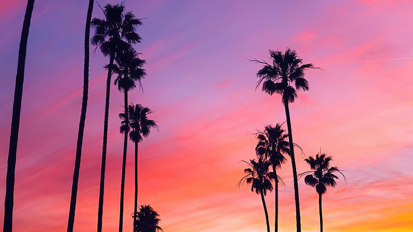 Palme, Cloud, Atmosphäre, Baum, Afterglow. Wallpaper in 1366x768 Resolution