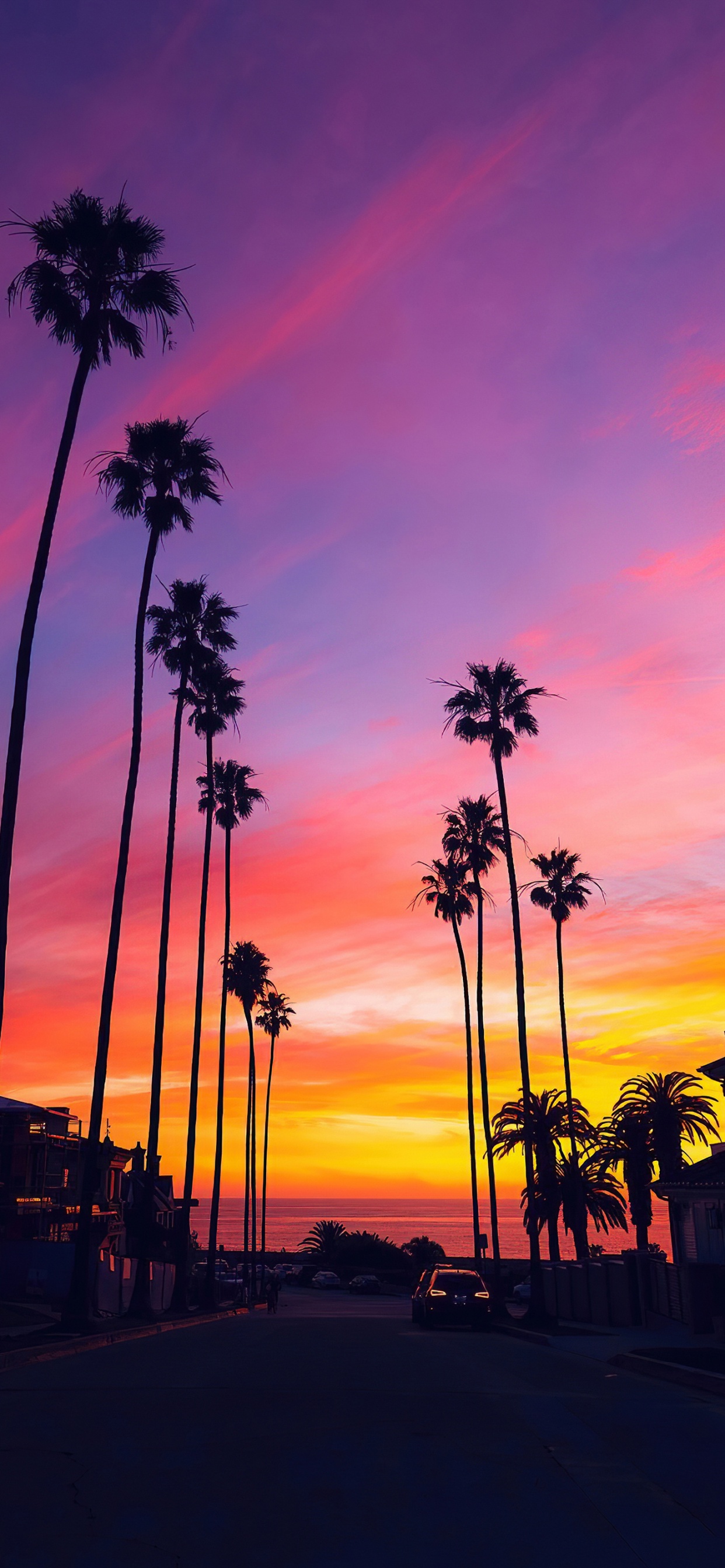 Palmera, Ambiente, Afterglow, Naranja, Atardecer. Wallpaper in 1242x2688 Resolution