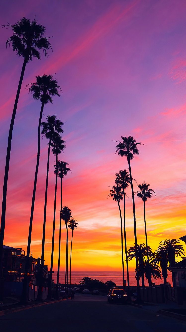 Palmera, Ambiente, Afterglow, Naranja, Atardecer. Wallpaper in 750x1334 Resolution