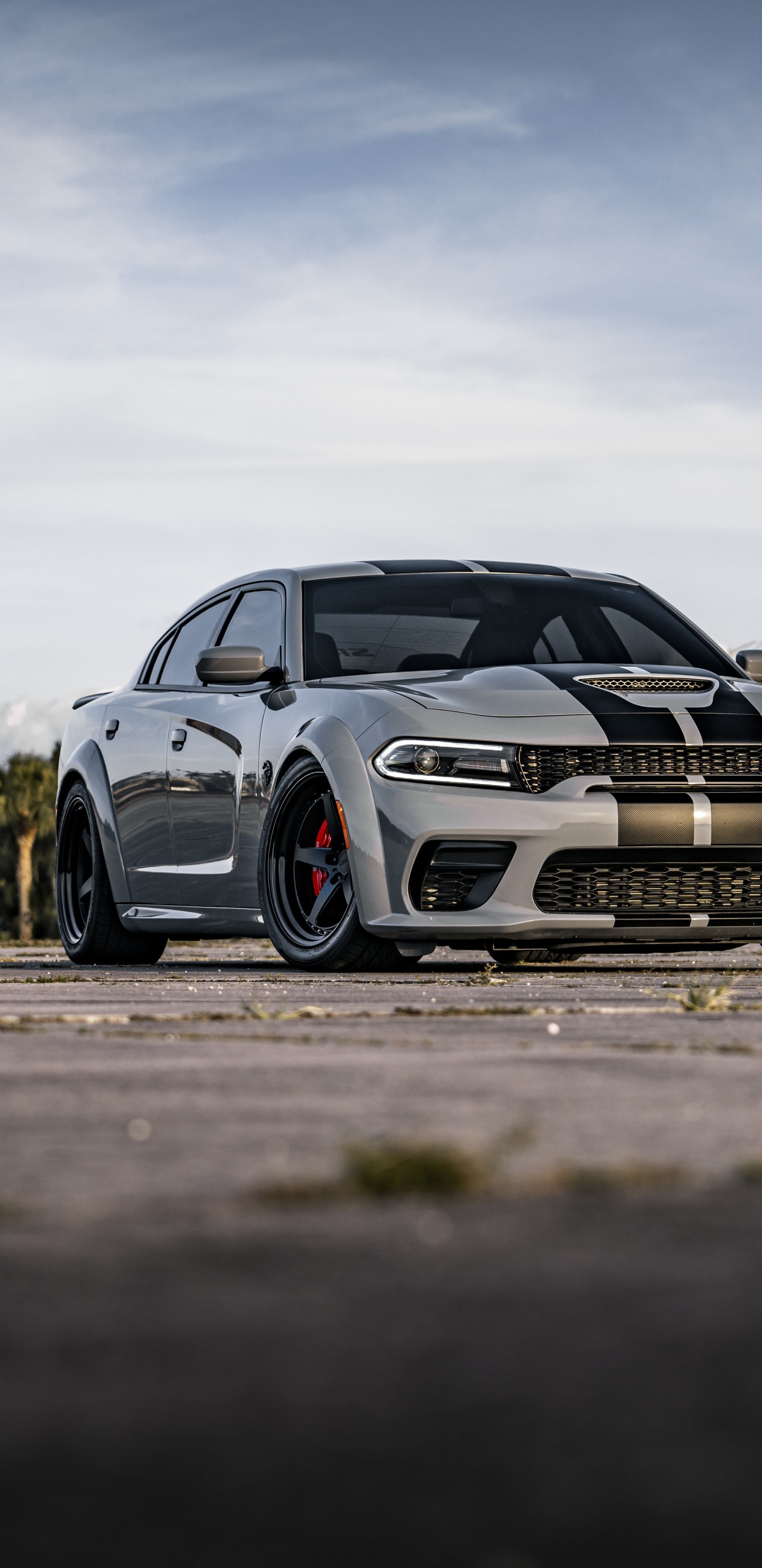 Carretera, Cargador Esquivar 2022, Dodge, Dodge Charger SRT Hellcat, Coche. Wallpaper in 1440x2960 Resolution