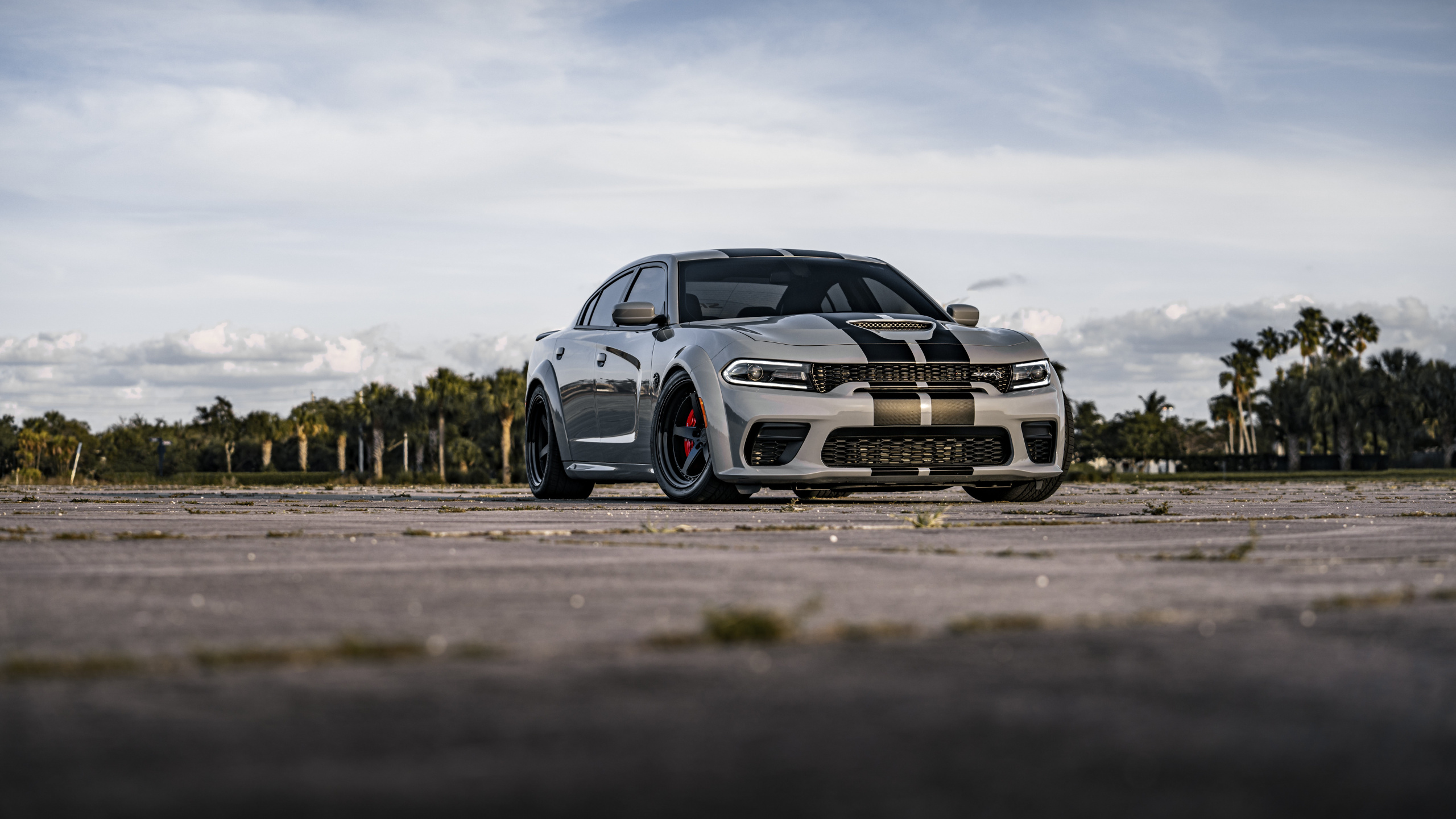 Carretera, Cargador Esquivar 2022, Dodge, Dodge Charger SRT Hellcat, Coche. Wallpaper in 2560x1440 Resolution