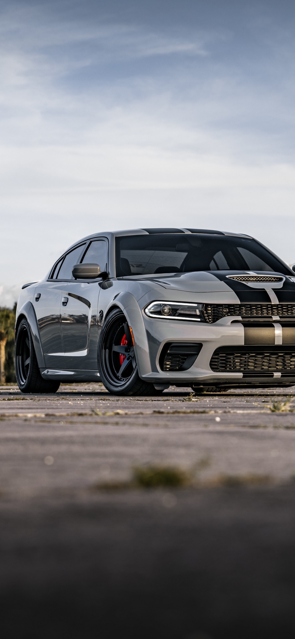 Road, 2022 Dodge Charger, Dodge, Dodge Charger SRT Hellcat, Cars. Wallpaper in 1242x2688 Resolution